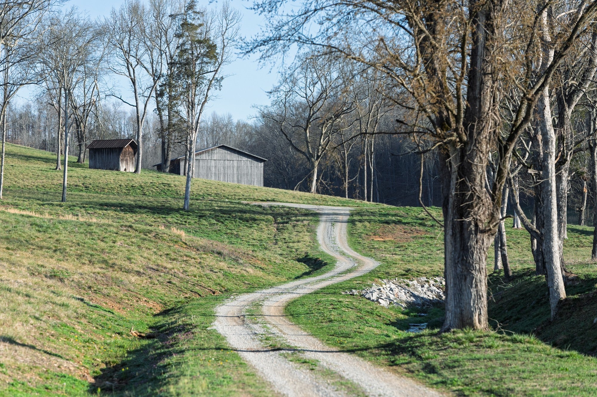 Photo of Listing #3152698