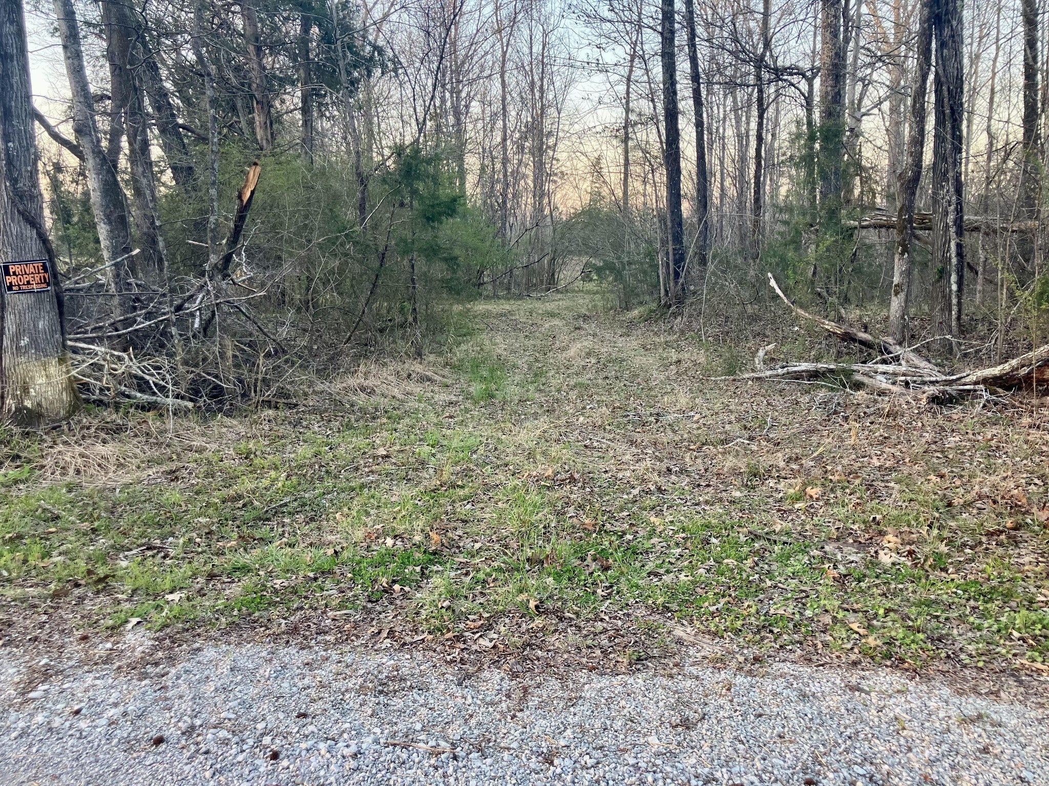 Photo of Listing #3156015