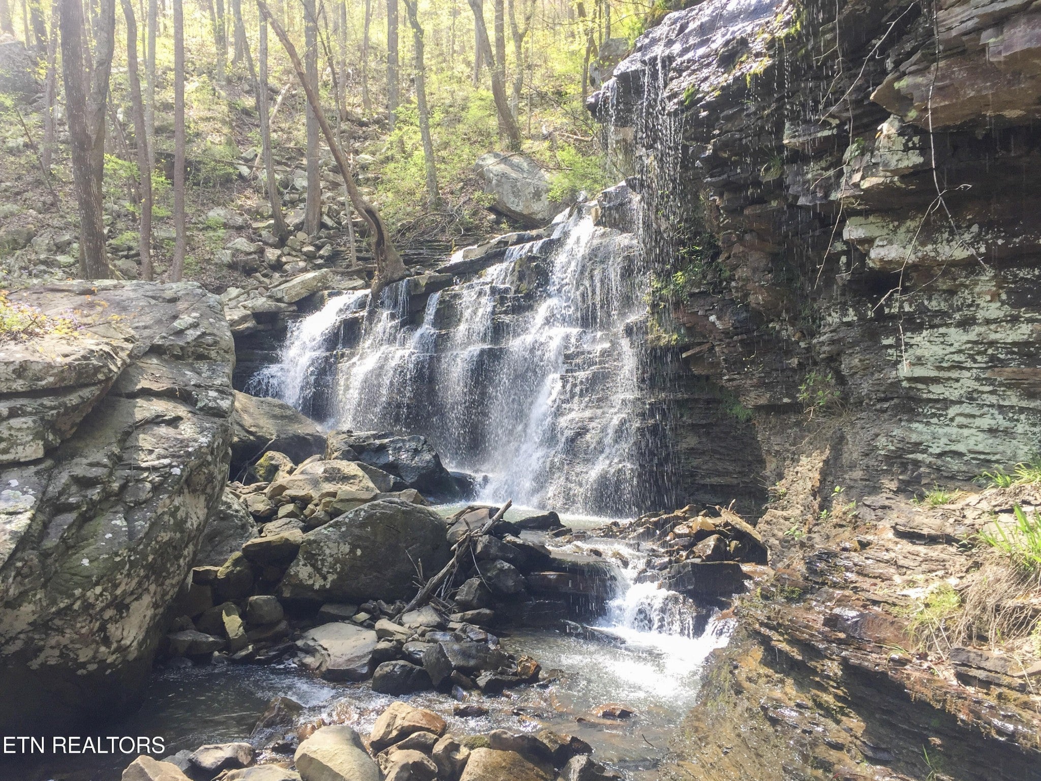 Photo of Listing #3163996