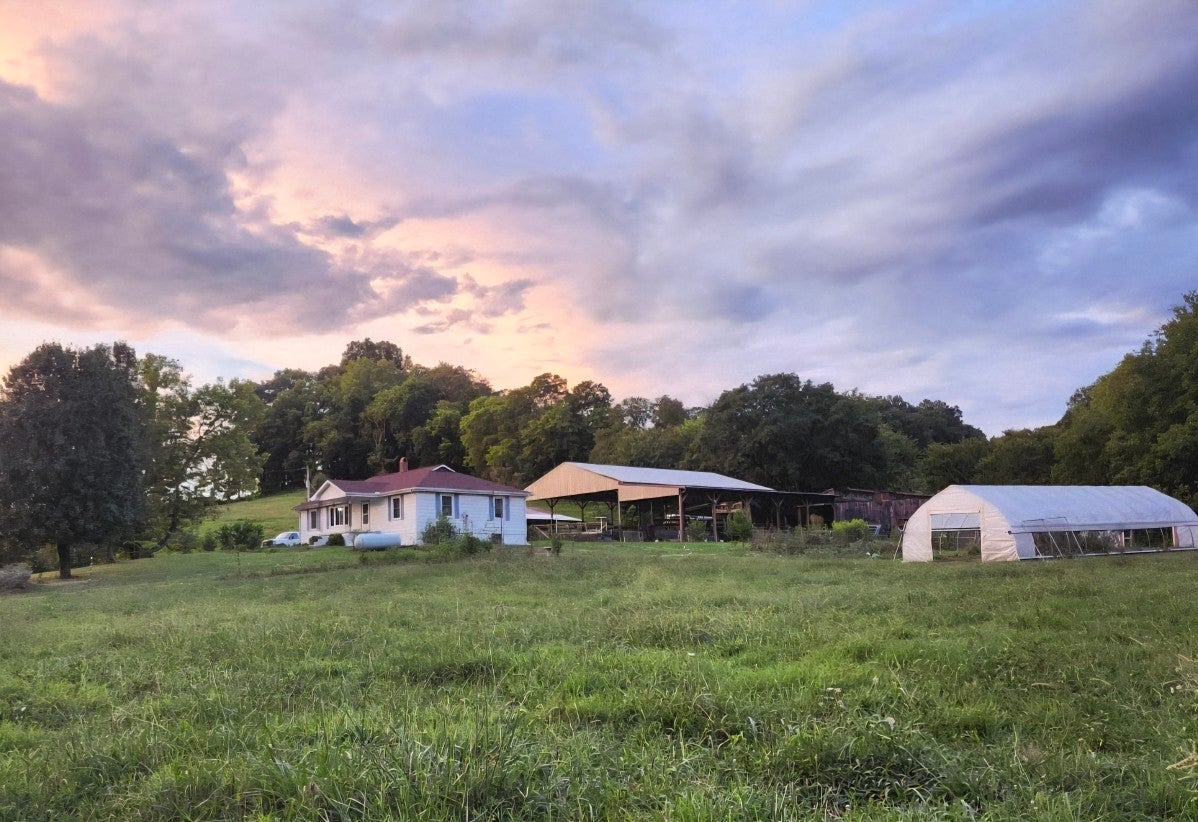 Photo of Listing #3165347