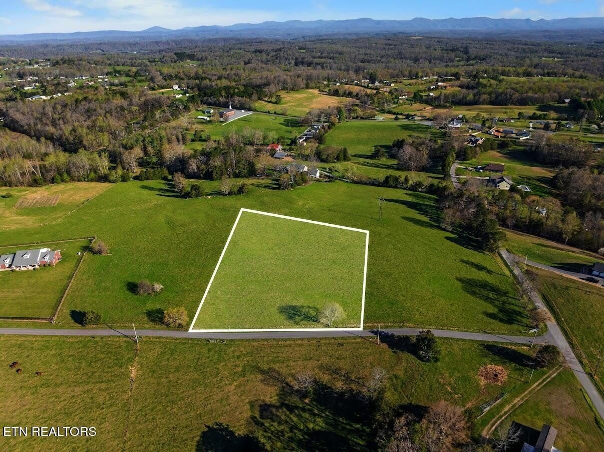 Photo of Listing #3165779