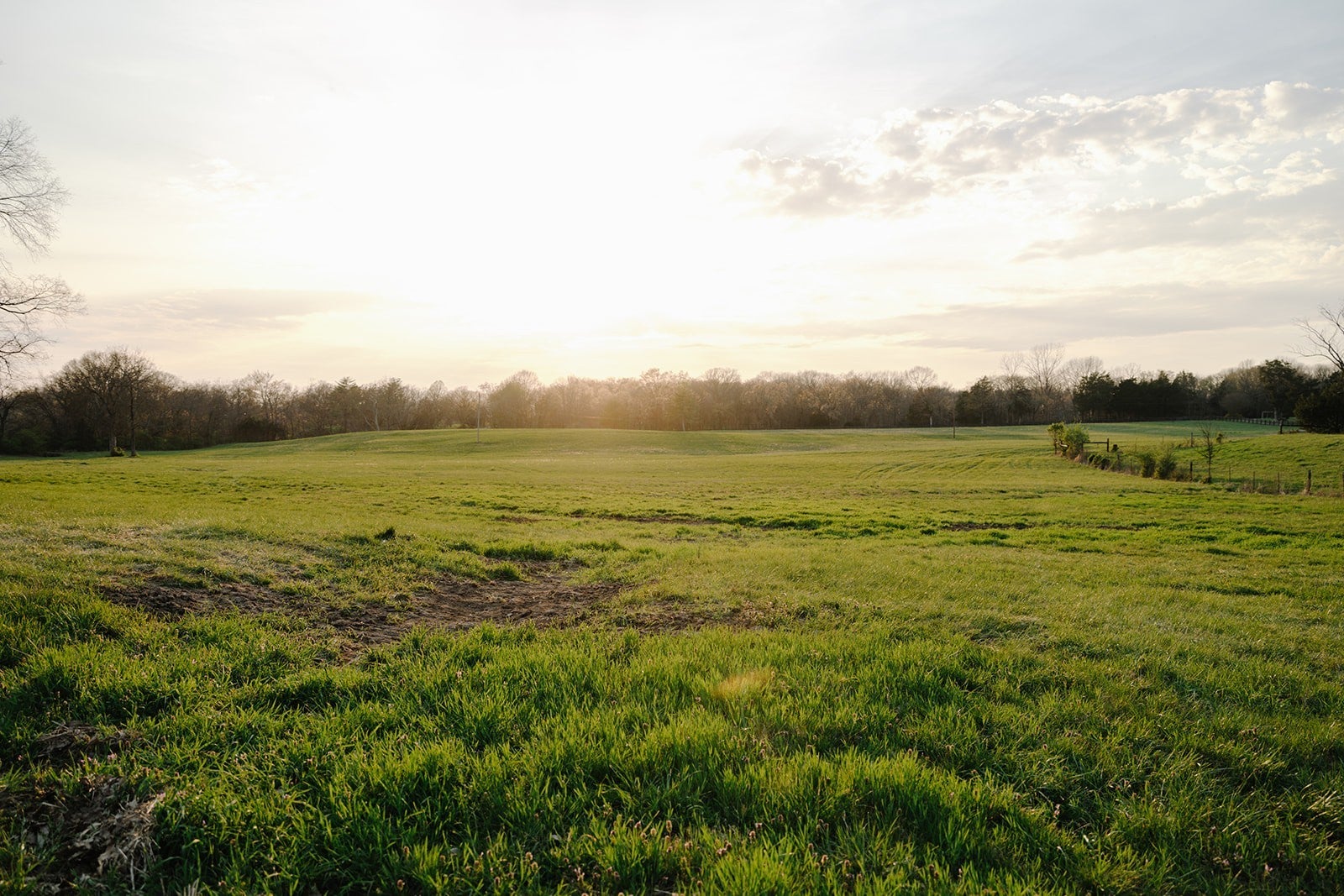 Photo of Listing #3166158