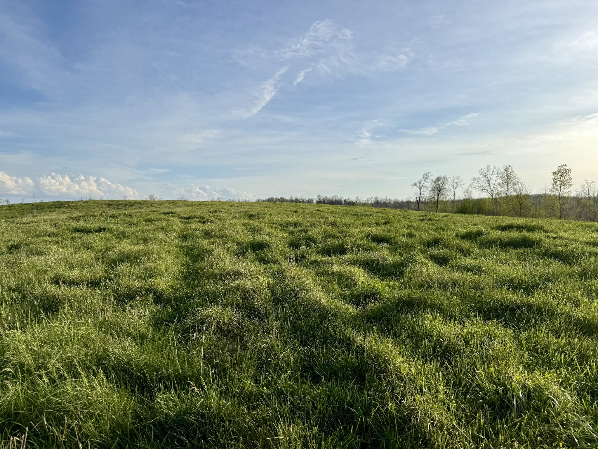 Photo of Listing #3167881