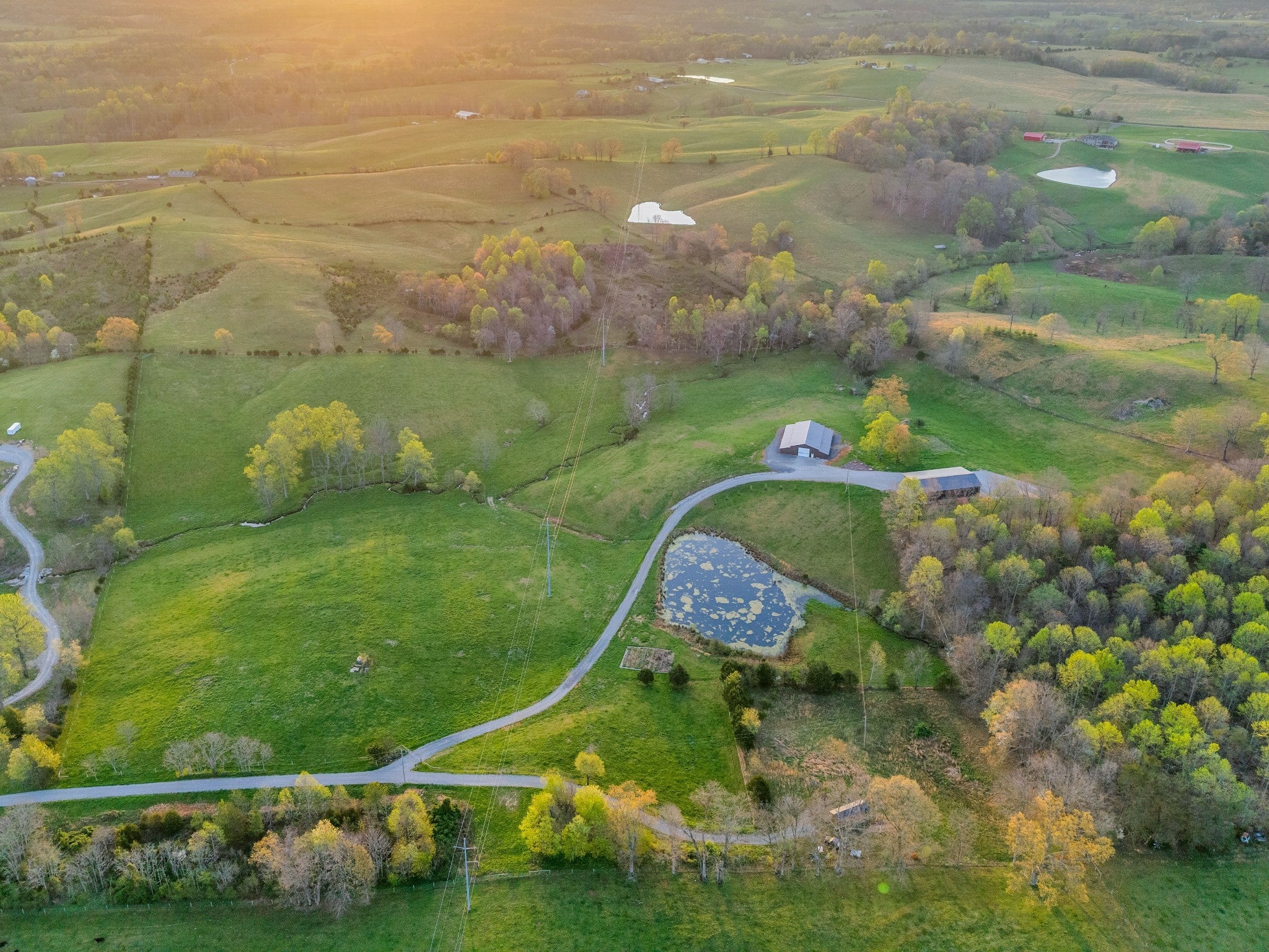 Photo of Listing #3168742