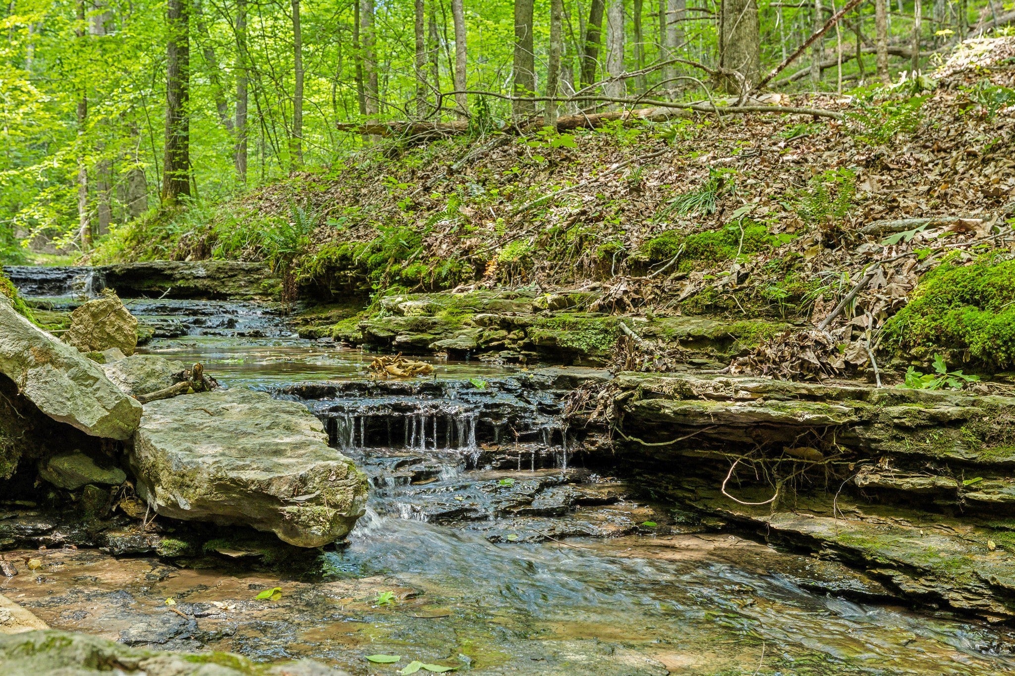 Photo of Listing #3170438