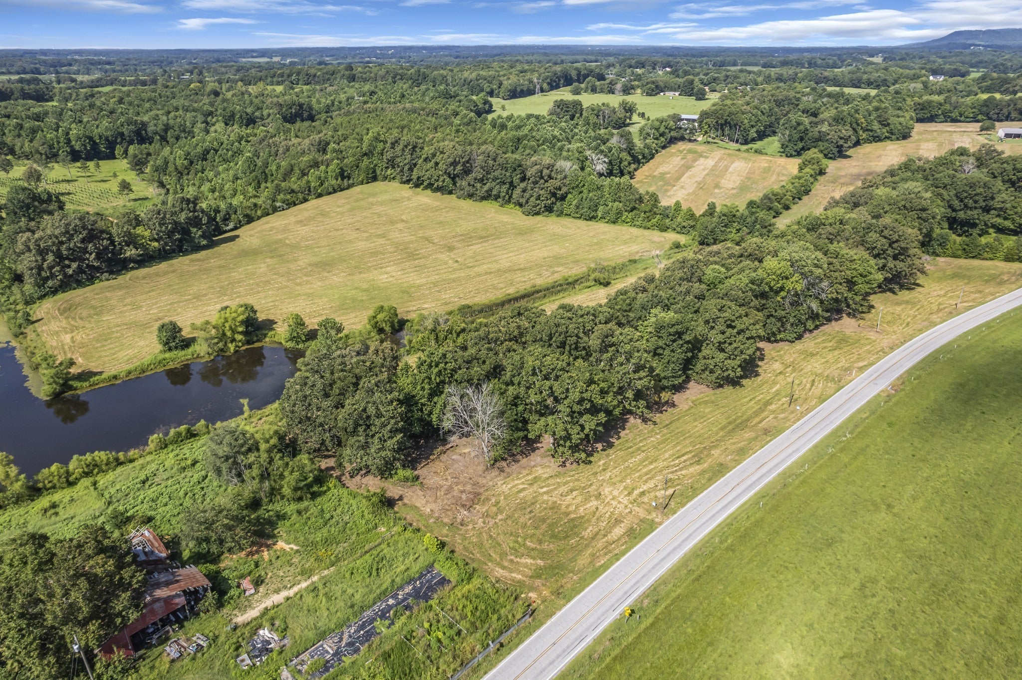 Photo of Listing #3170803