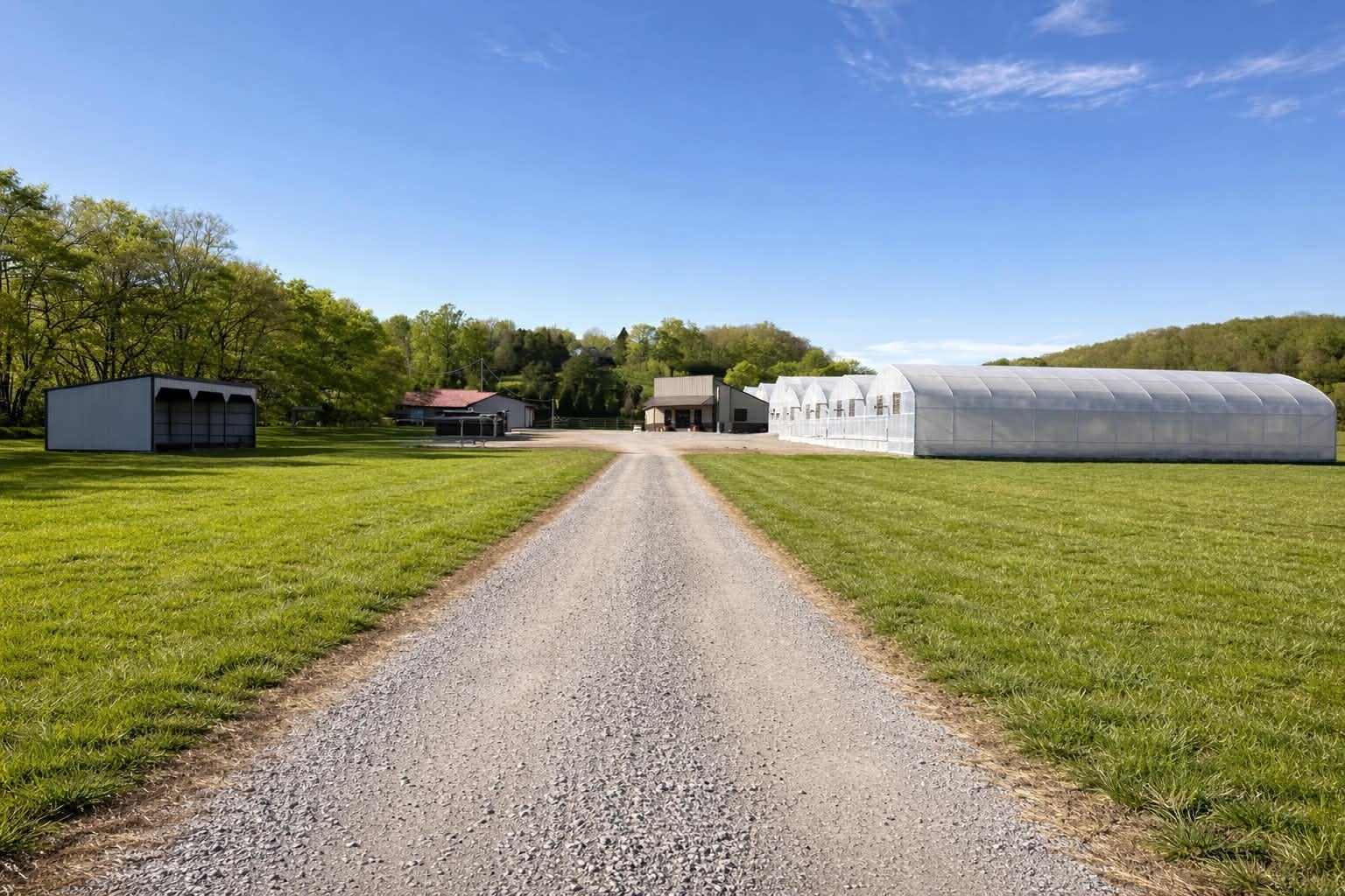 Photo of Listing #3171229