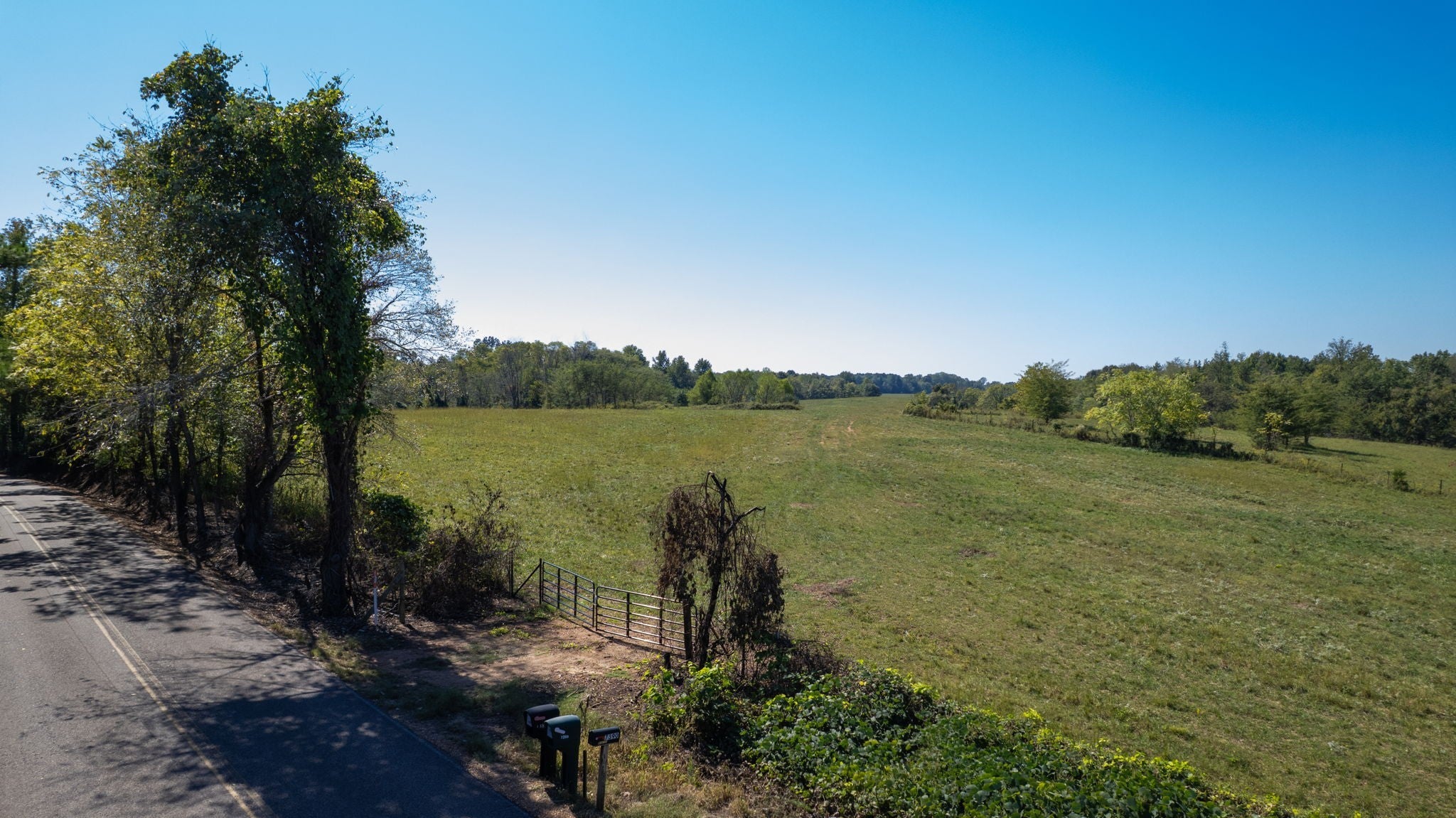 Photo of Listing #3173257