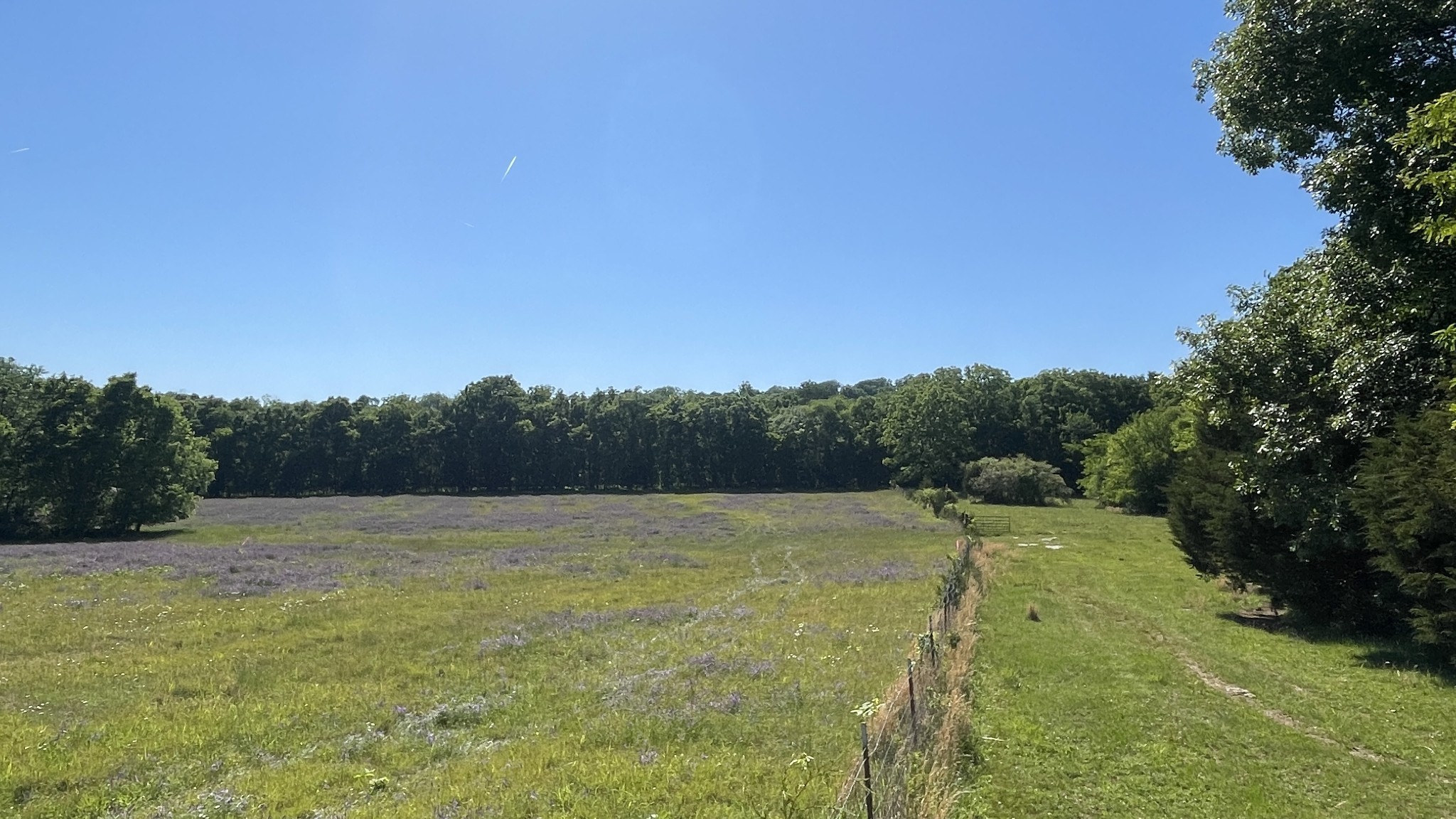 Photo of Listing #3186758