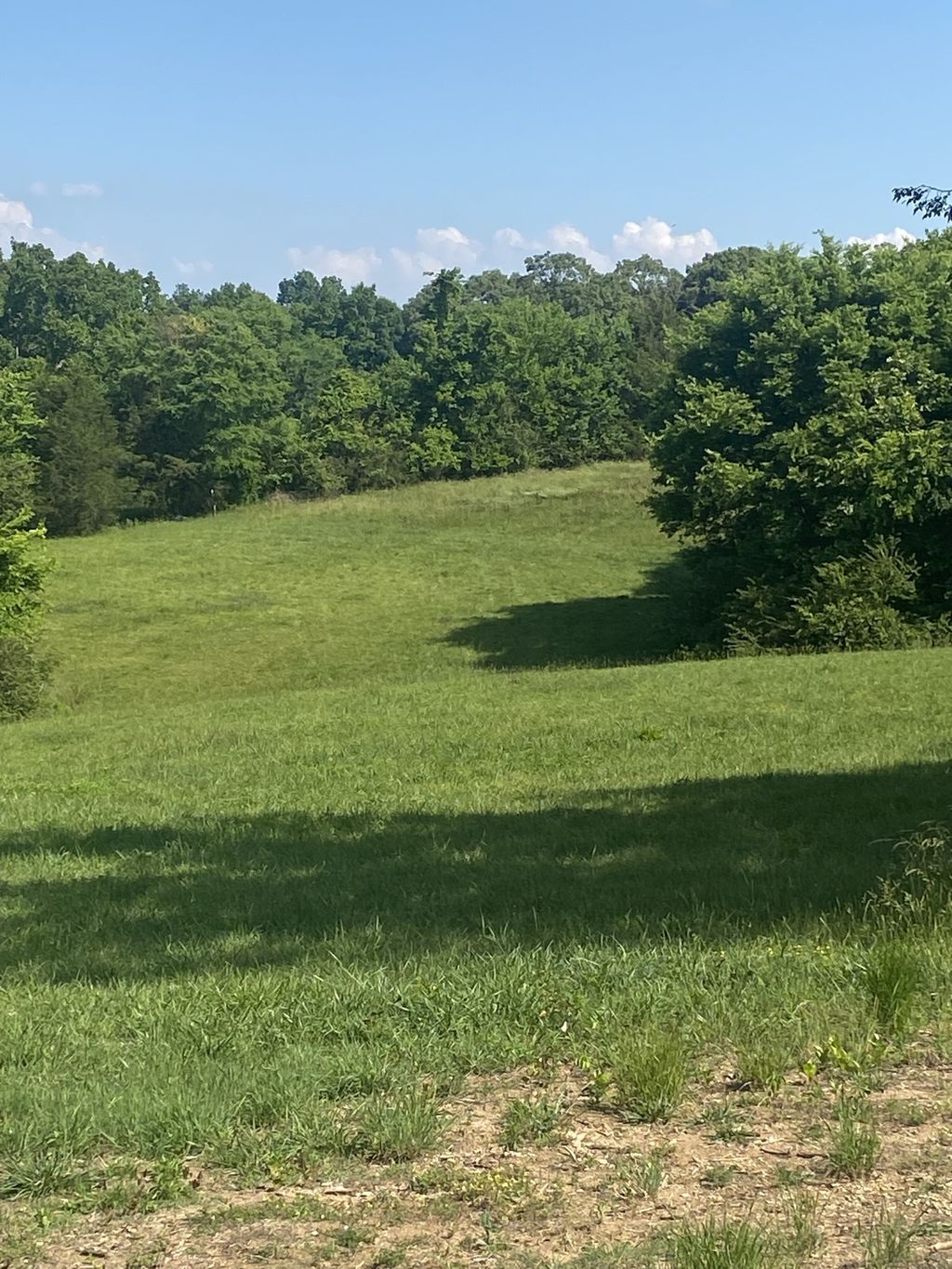 656 County Rd, Anderson