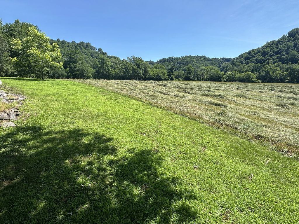 239 Rose Ln, Dixon Springs