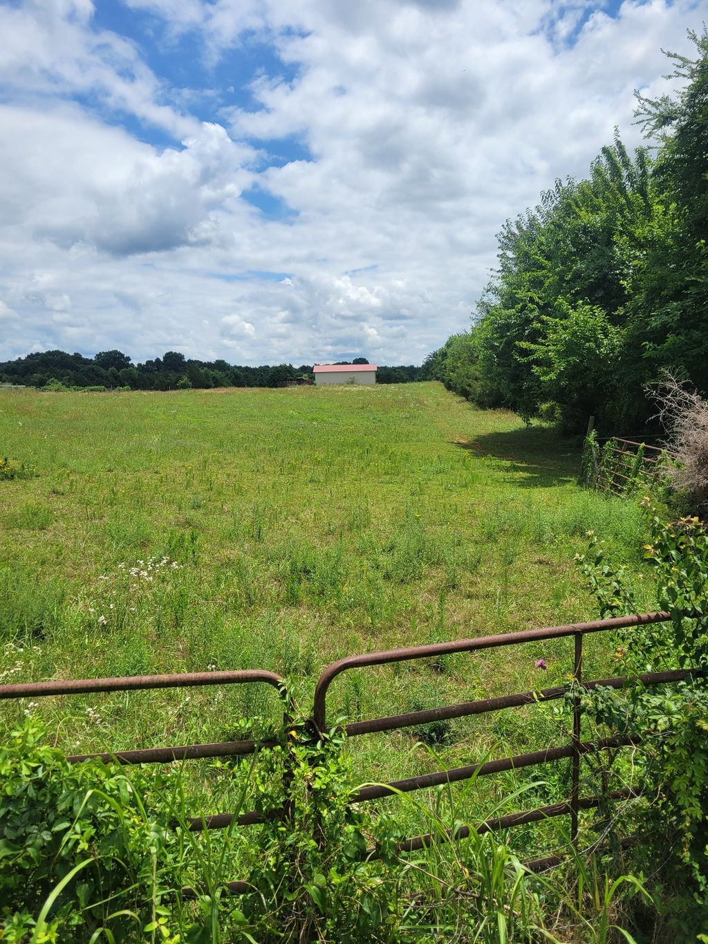 0 Midland Fosterville, Bell Buckle