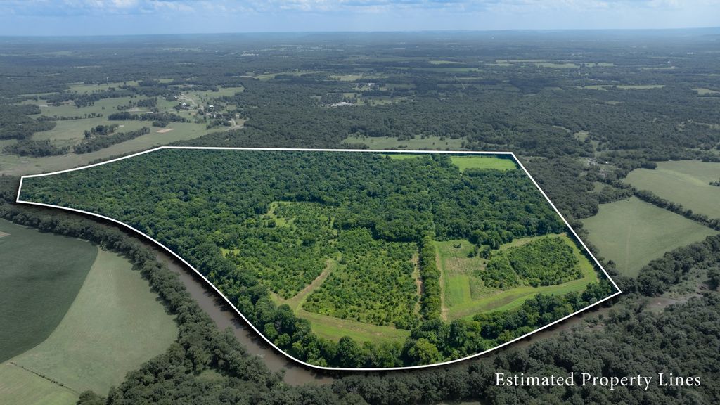 498 Rattlesnake Lodge Rd, Shelbyville