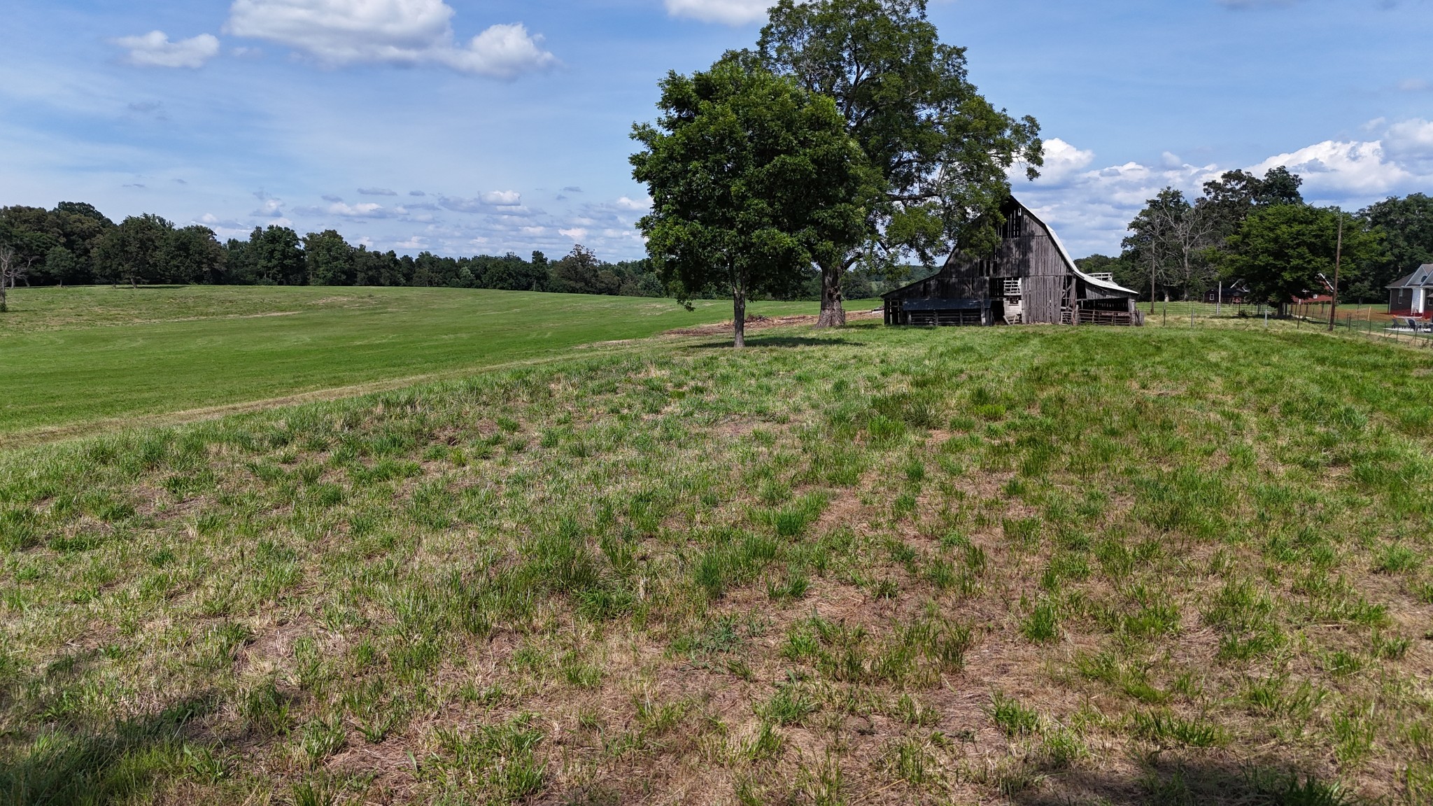 Photo of Listing #3510251