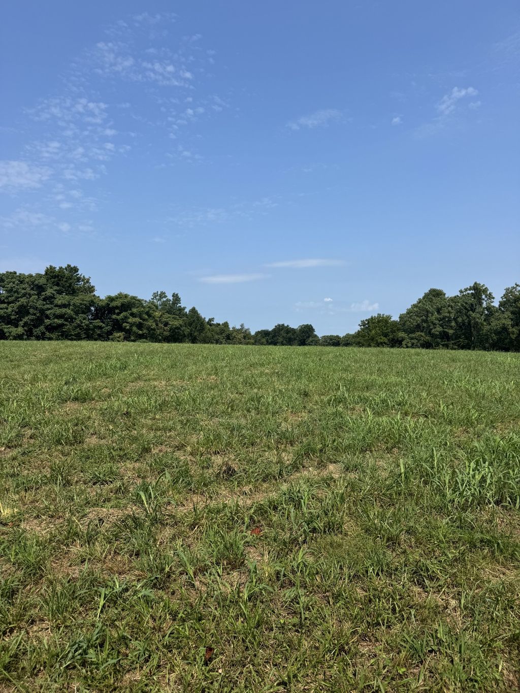 0 Ivy Lane, Red Boiling Springs