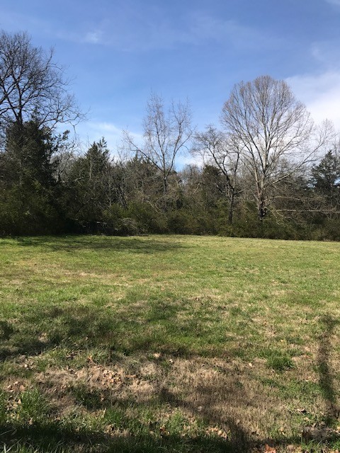 Photo of Listing #3530108
