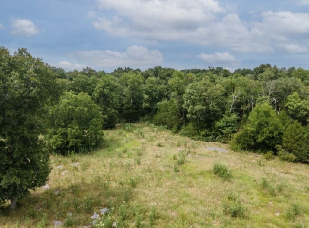 488 Lower Halls Mill Rd, Shelbyville