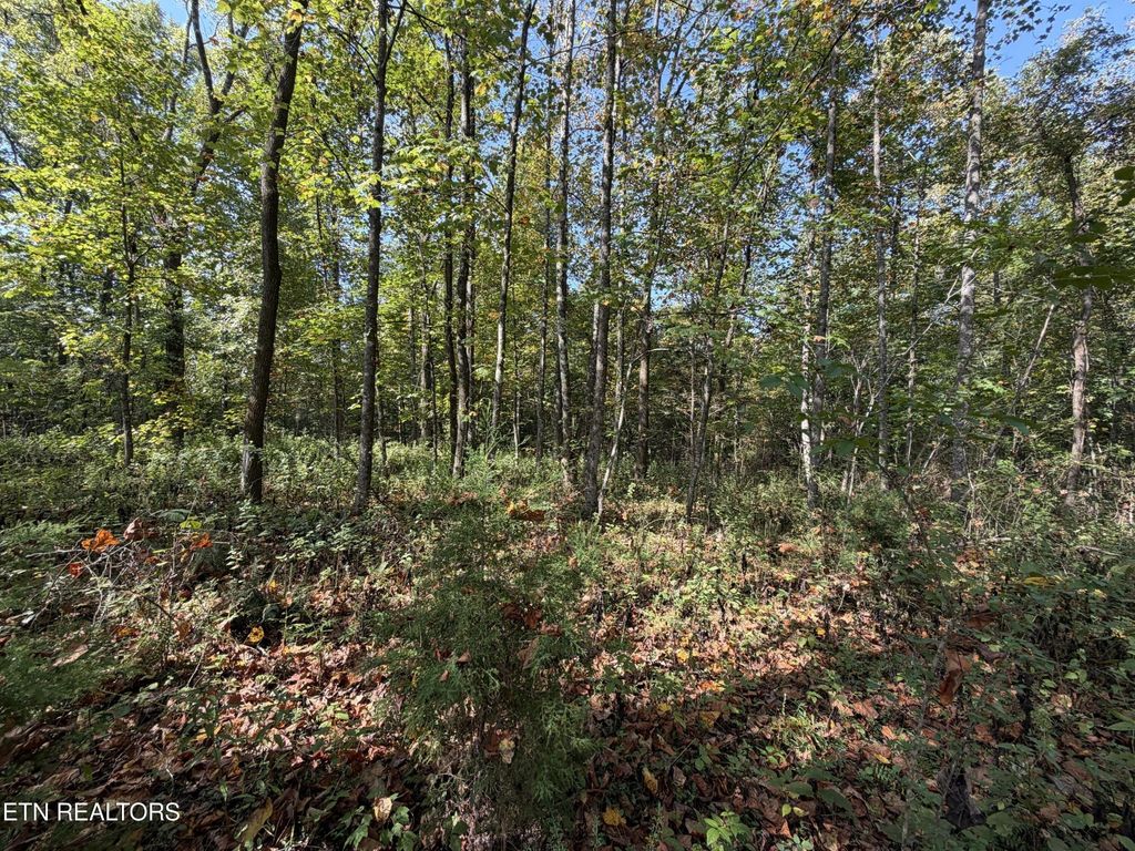 2235 Moore Knob Rd, Allardt