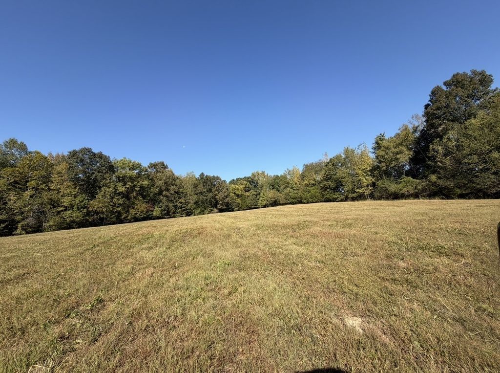 0 Davis Hollow Rd, Minor Hill
