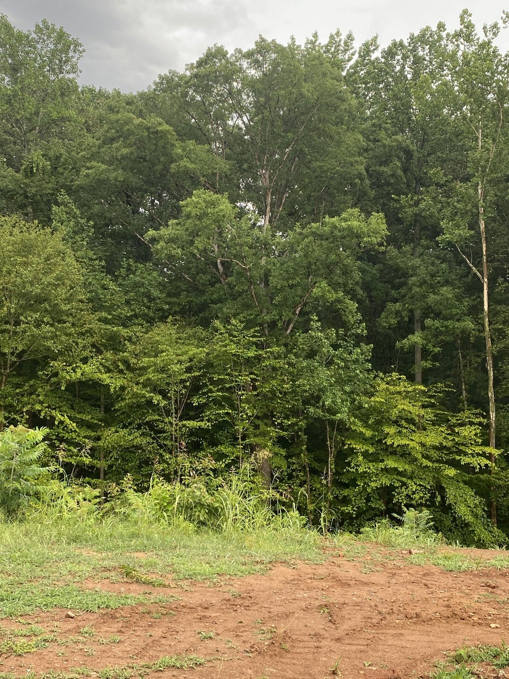 554 Summit View Cir, Clarksville Property Listing MLS® 2543490