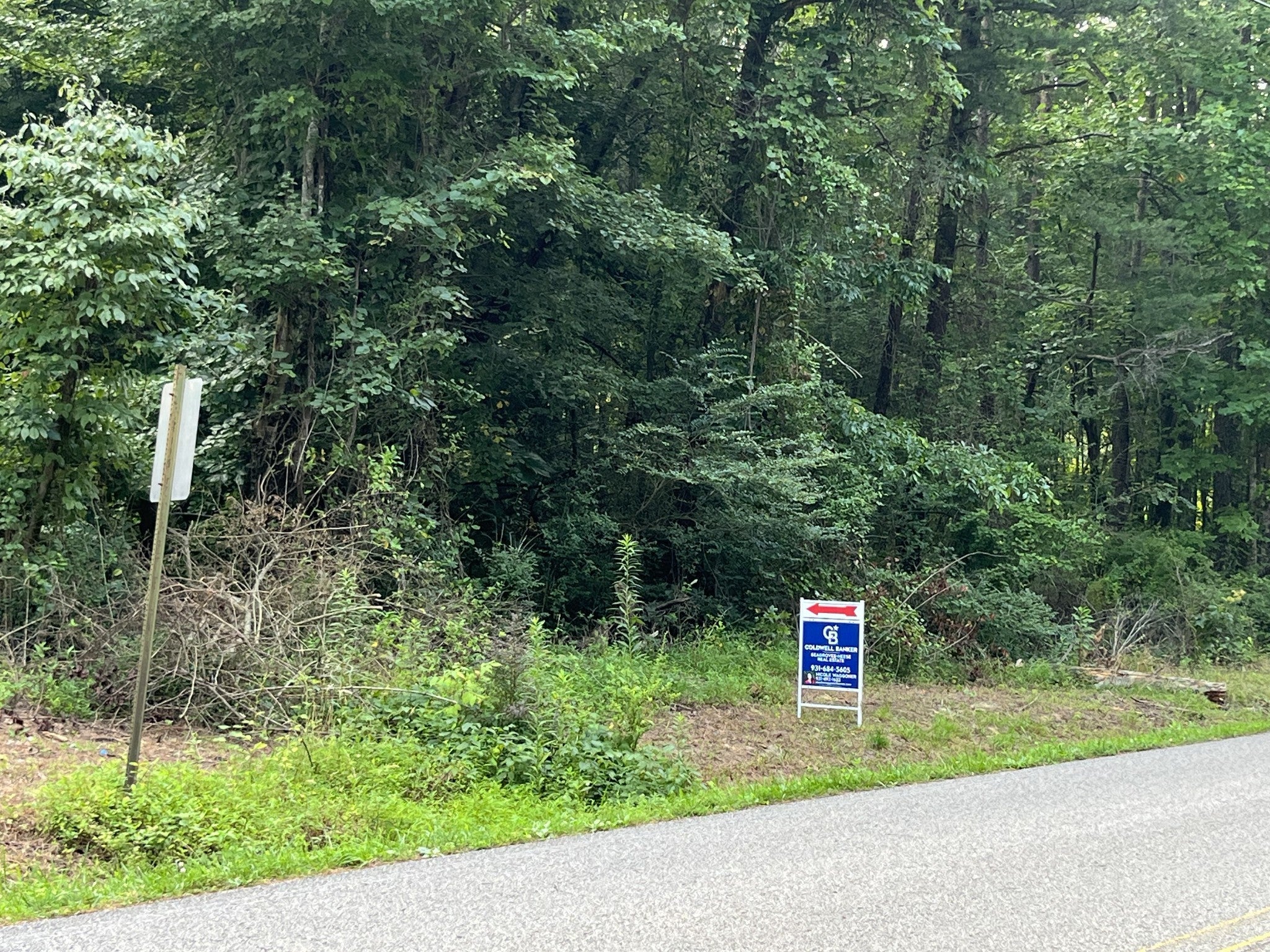 0 20th Ave S Gruetli Laager TN MLS 2549703