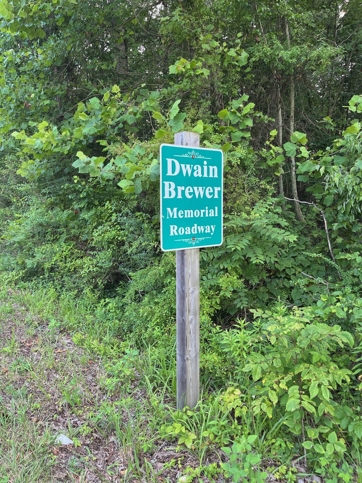 0 20th Ave S Gruetli Laager TN MLS 2549703