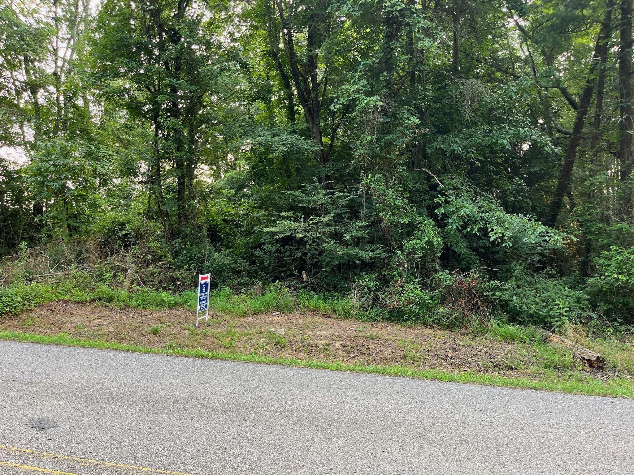 0 20th Ave S Gruetli Laager TN MLS 2549703