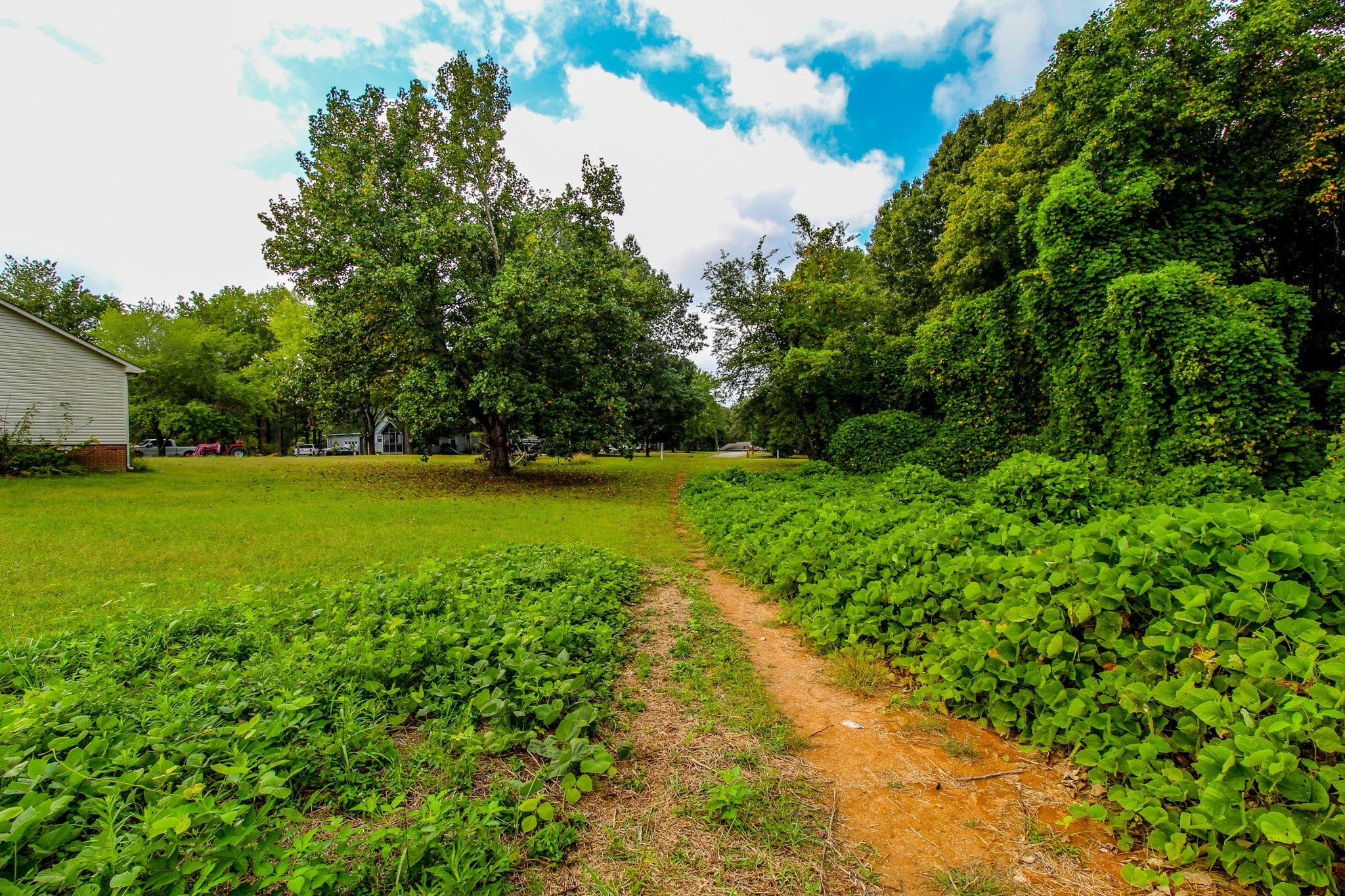 0 Pete Dr Lexington TN MLS 2579710