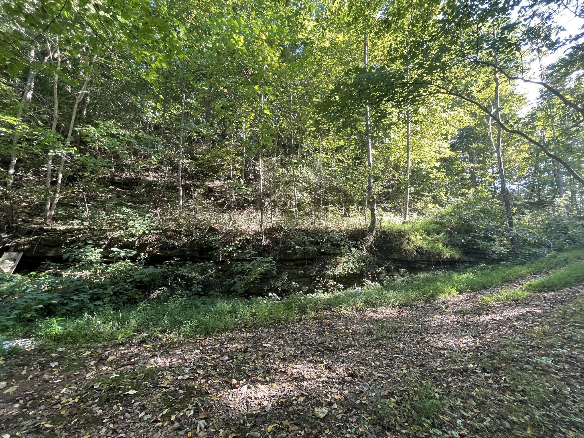 250 Possum Hollow Rd Dowelltown TN MLS 2581784