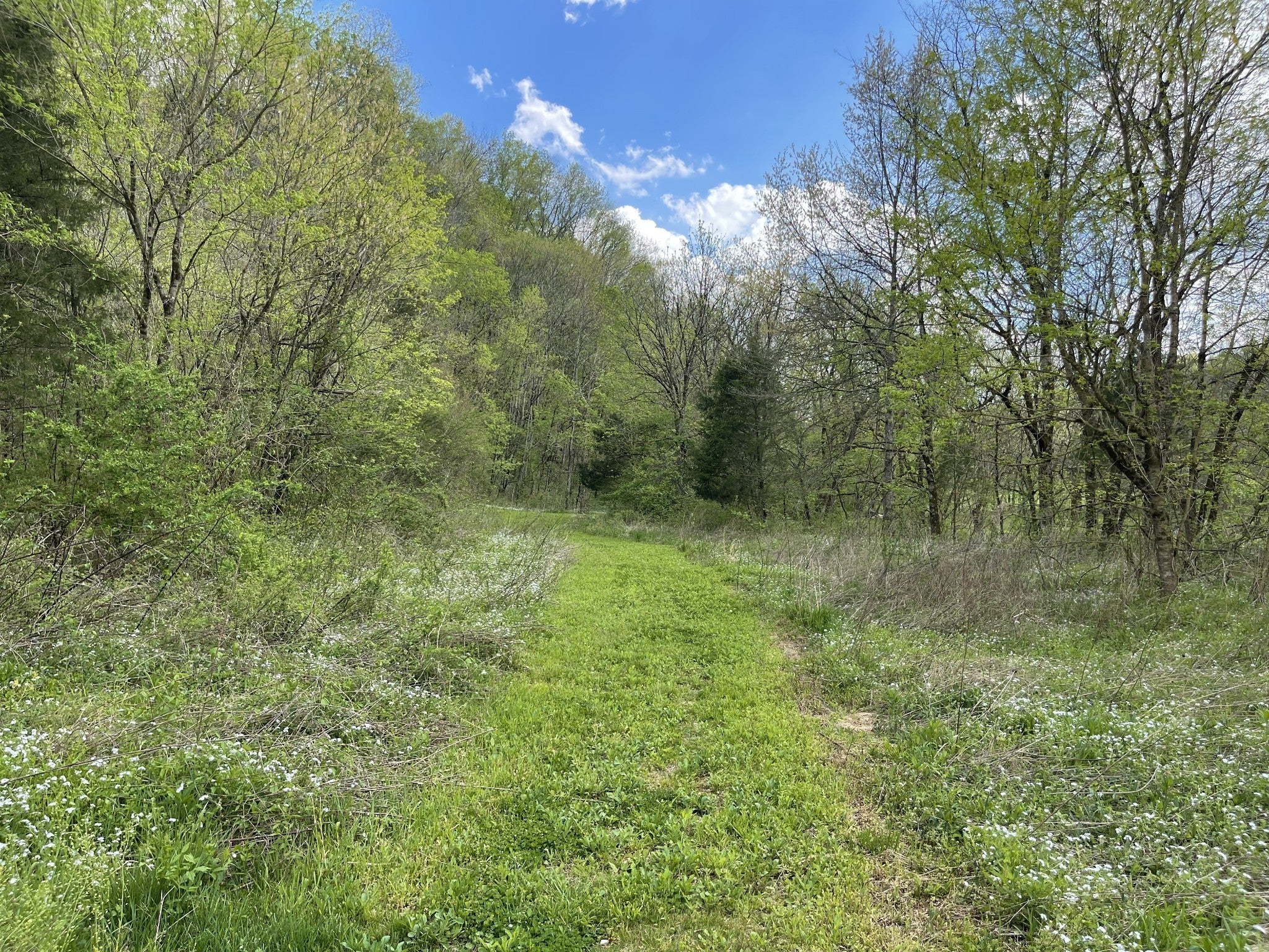 0 Love Hollow Road Hartsville TN MLS 2620564