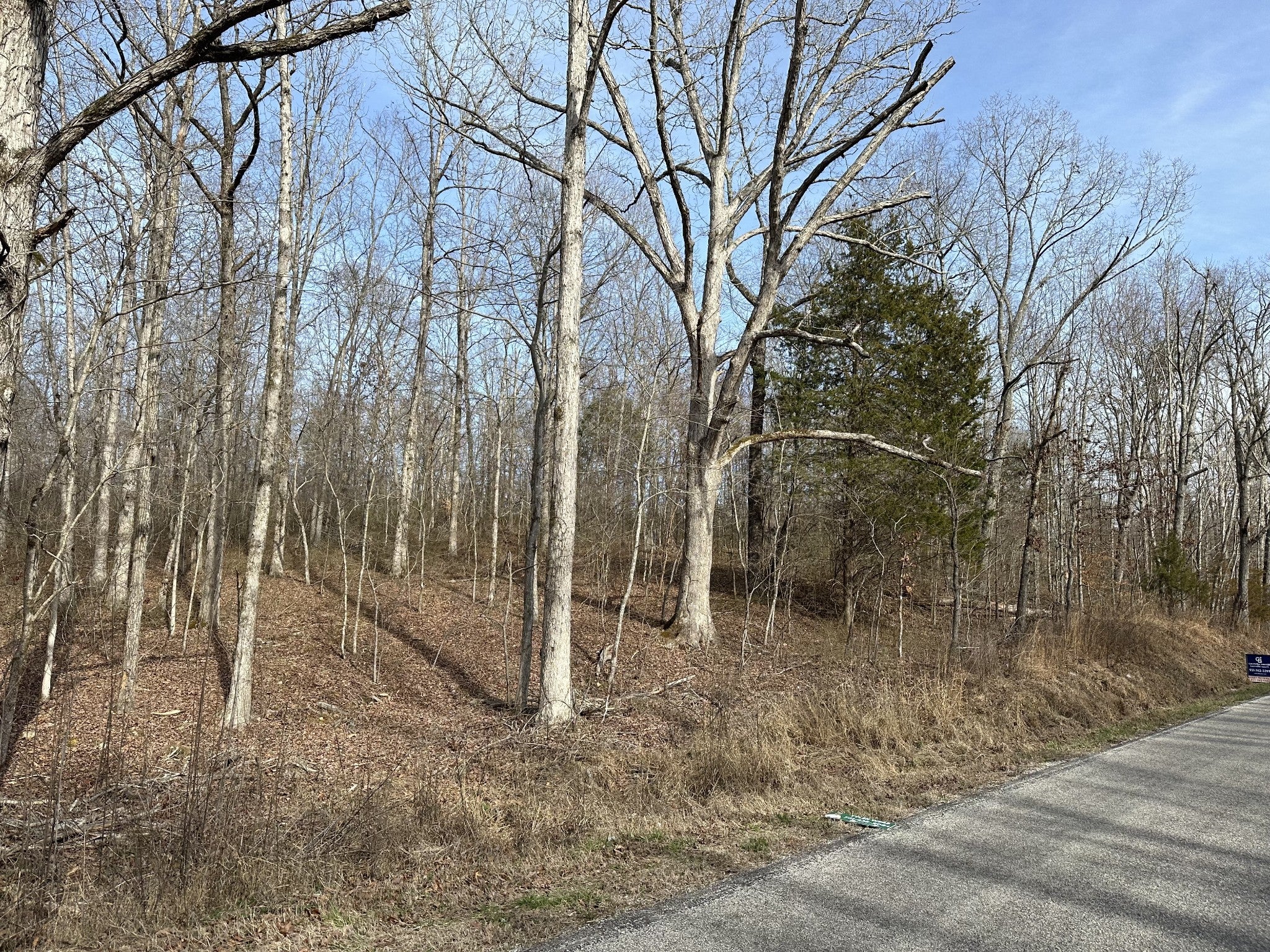 0 California Branch Rd Collinwood TN MLS 2621760