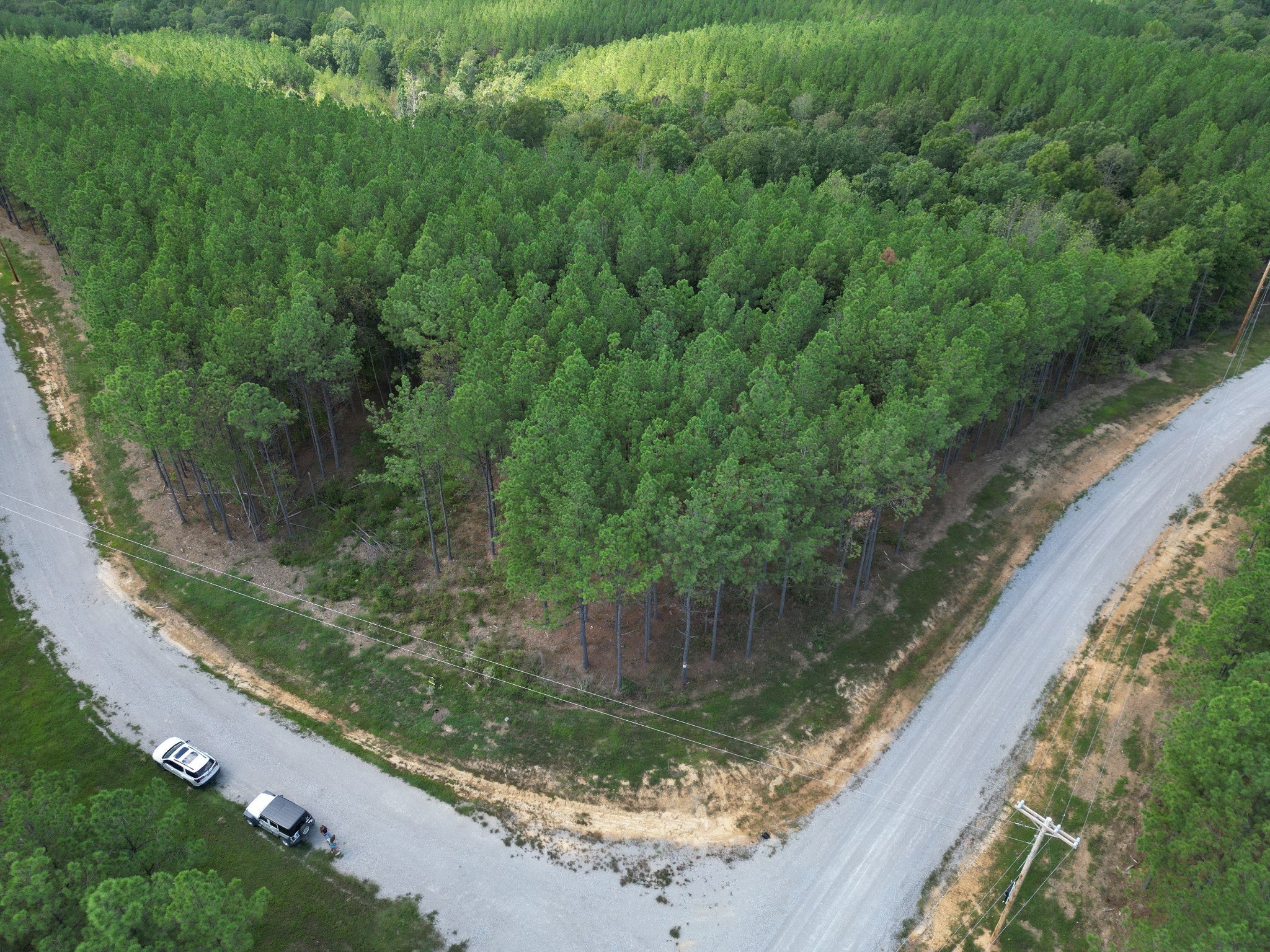 Photo of Listing #2624137