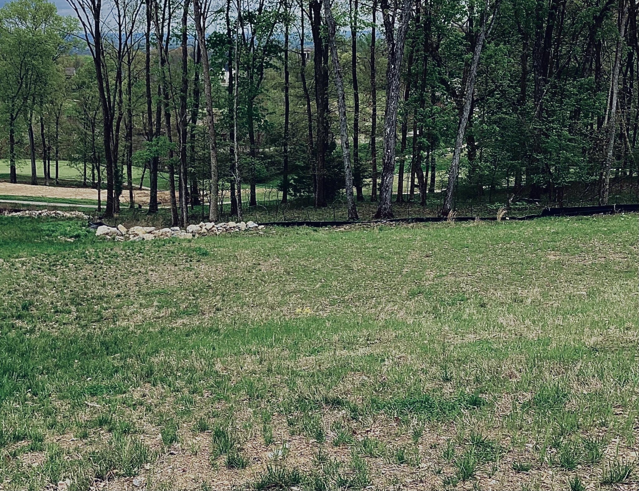 Photo of Listing #2636071