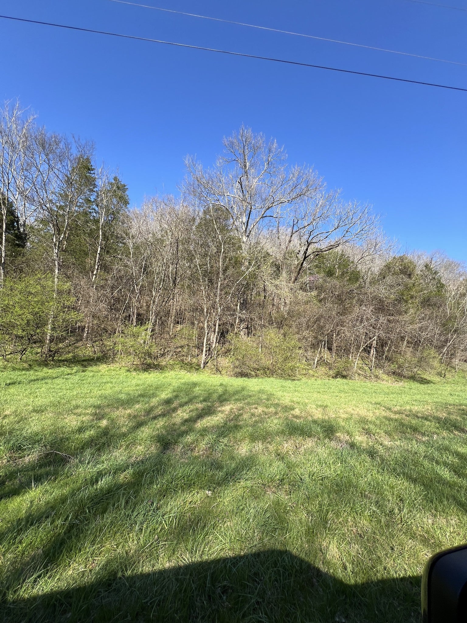 Photo of Listing #2636328