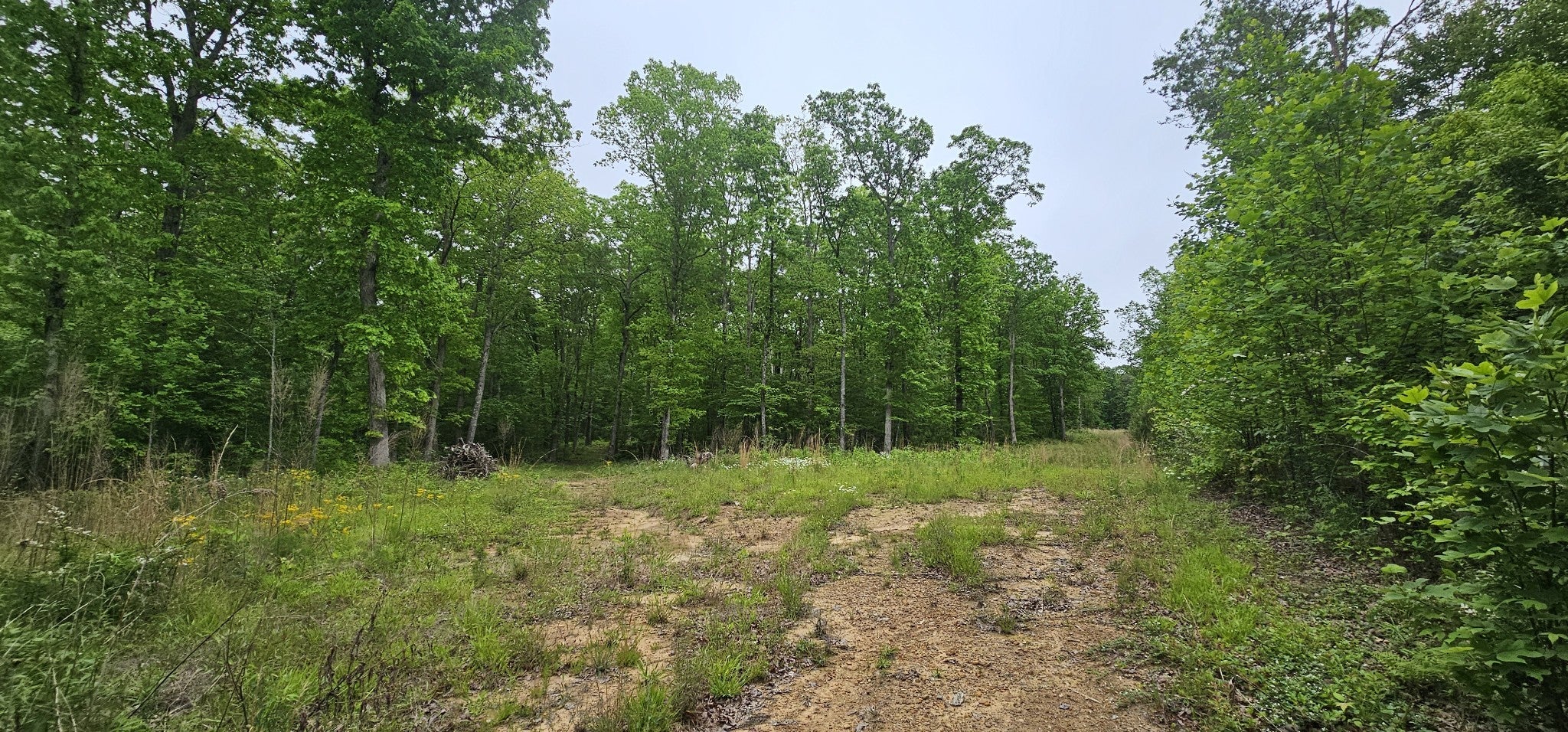 8 Fletcher Pickett Rd Gruetli Laager TN MLS 2655523