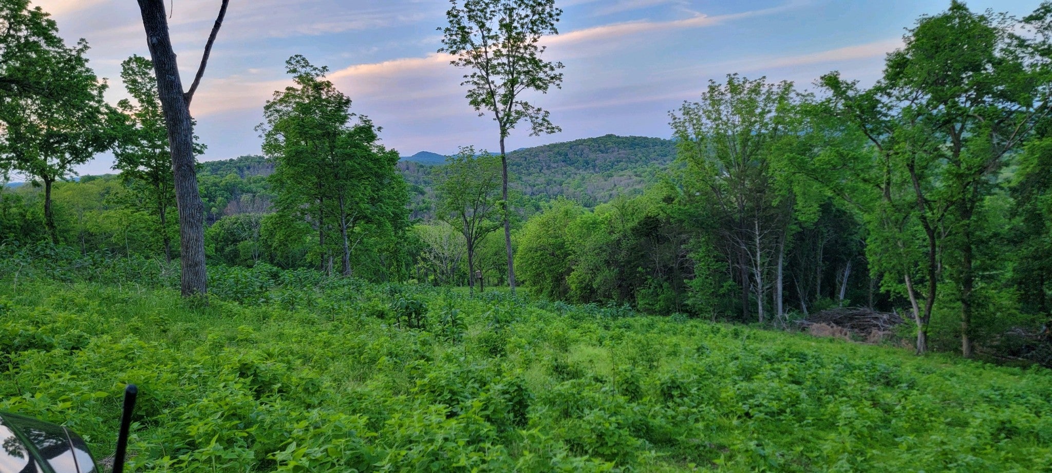 0 Poplar Bluff Rd W Auburntown TN MLS 2656222