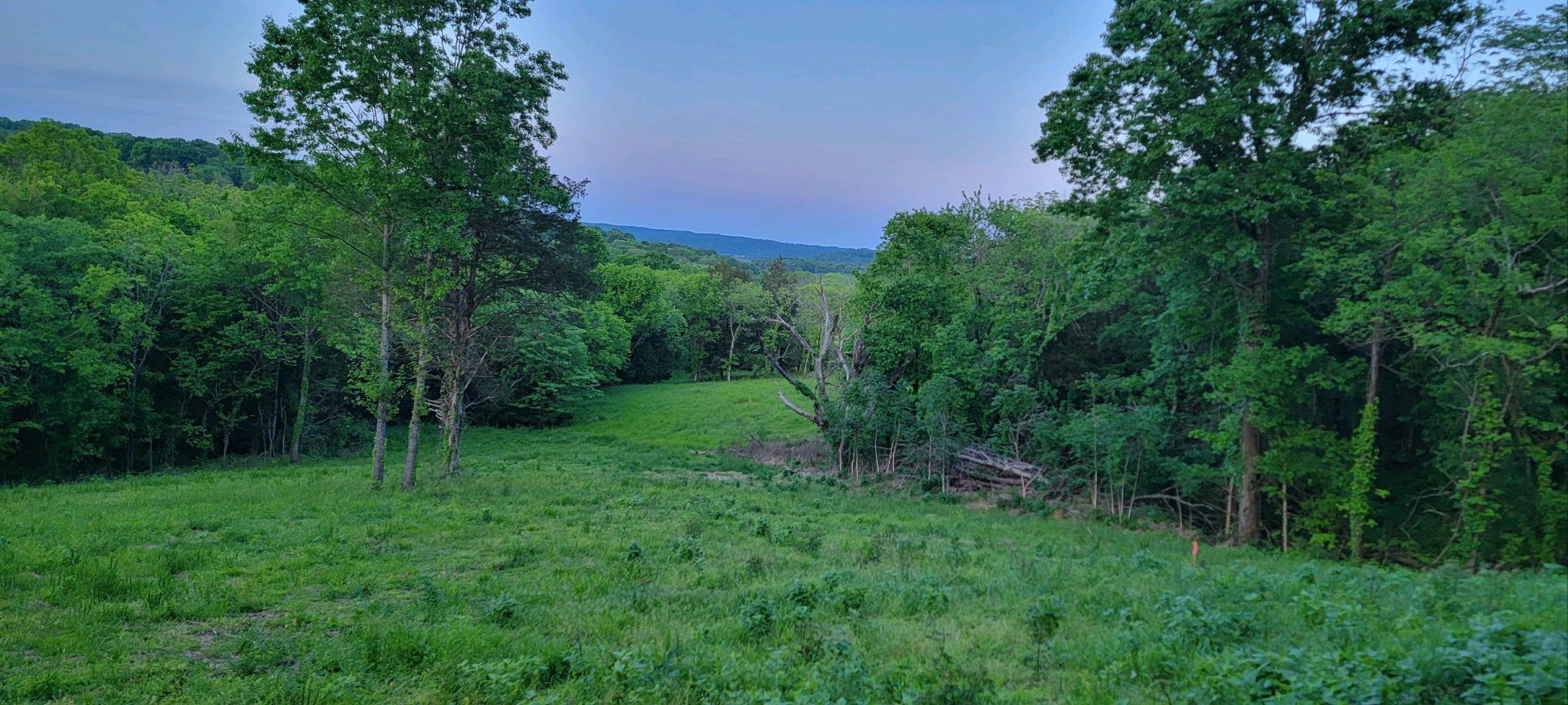 0 Poplar Bluff Rd W Auburntown TN MLS 2656222