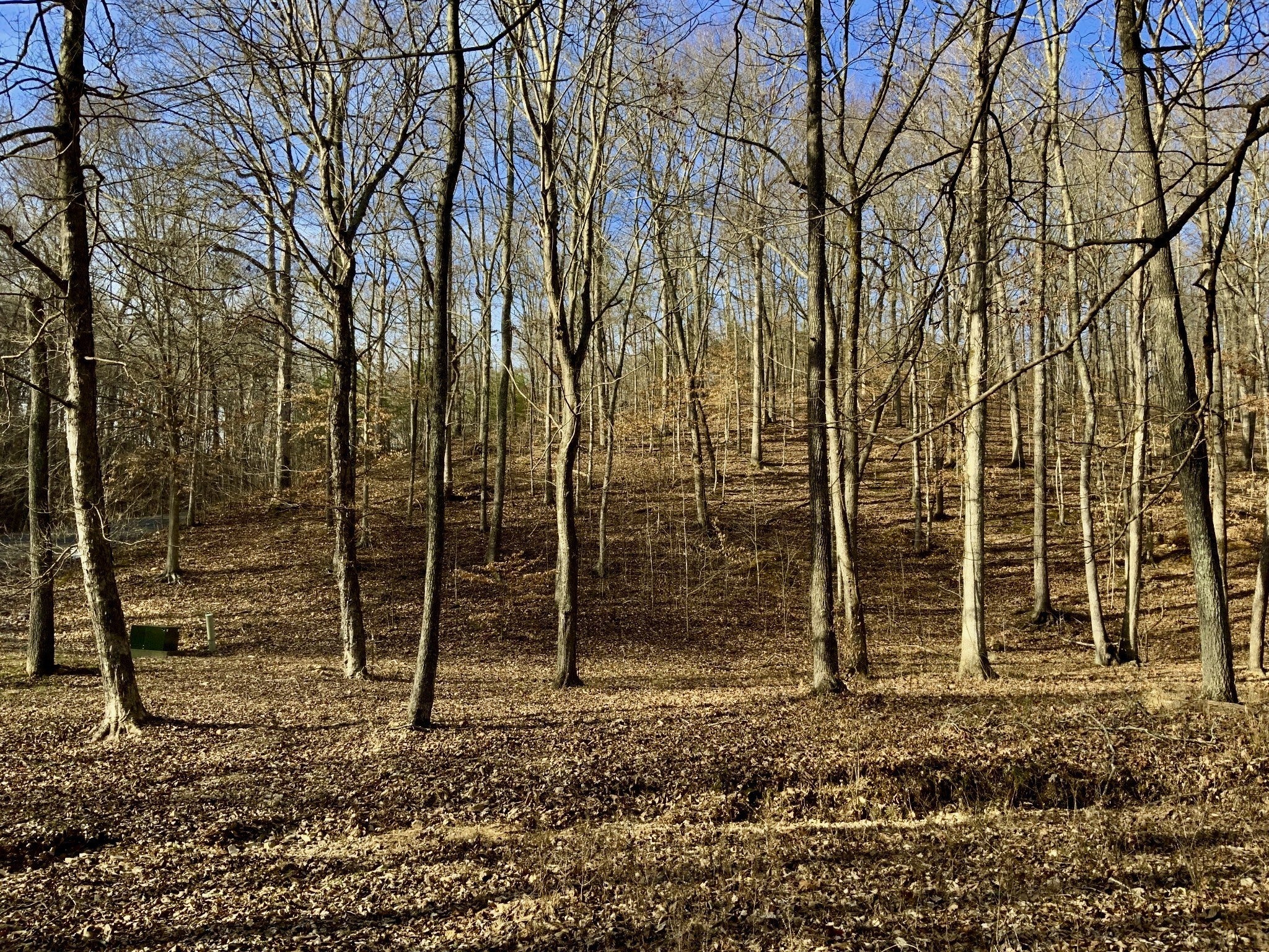 Photo of Listing #2657467