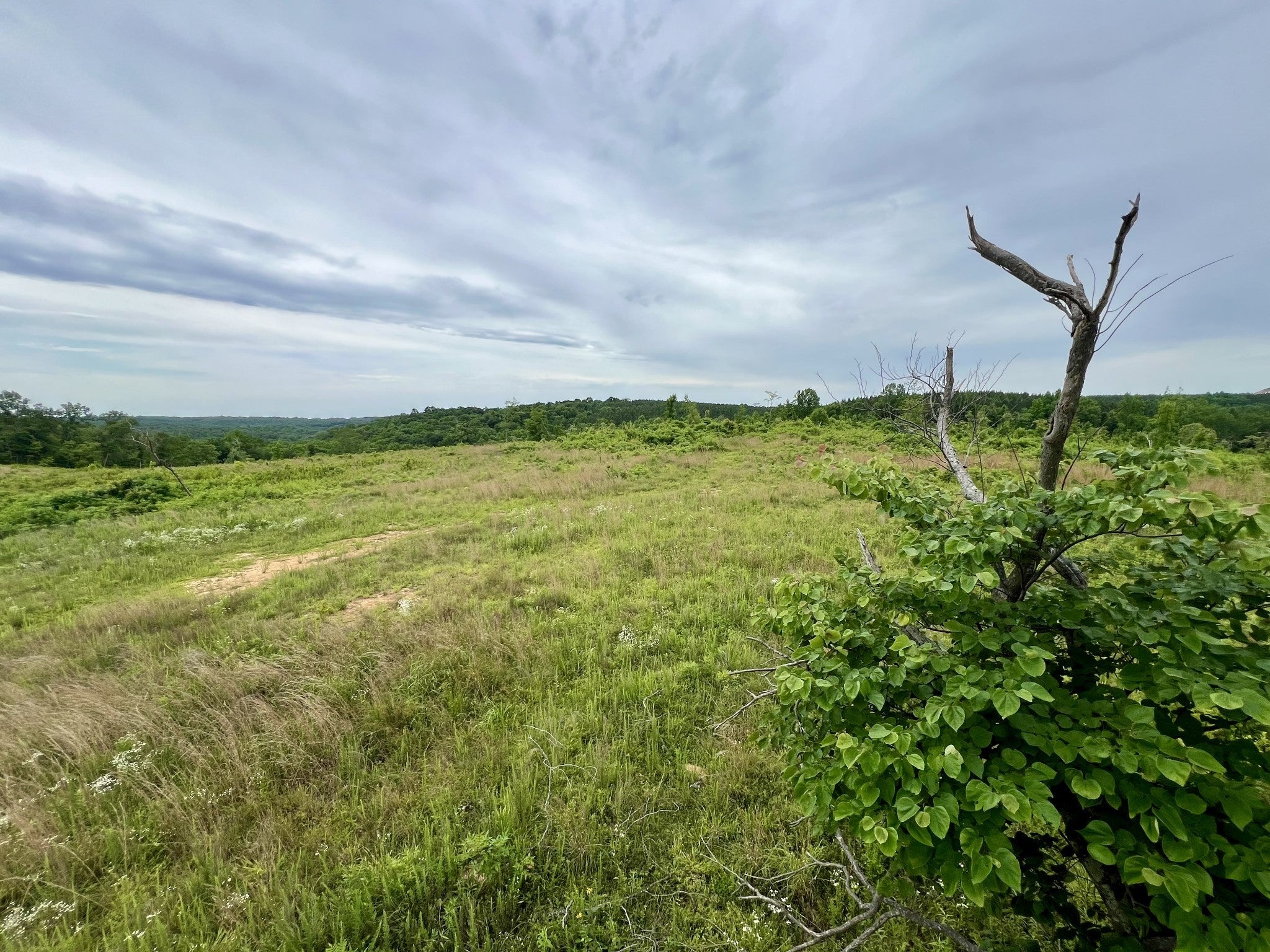 Photo of Listing #2662992