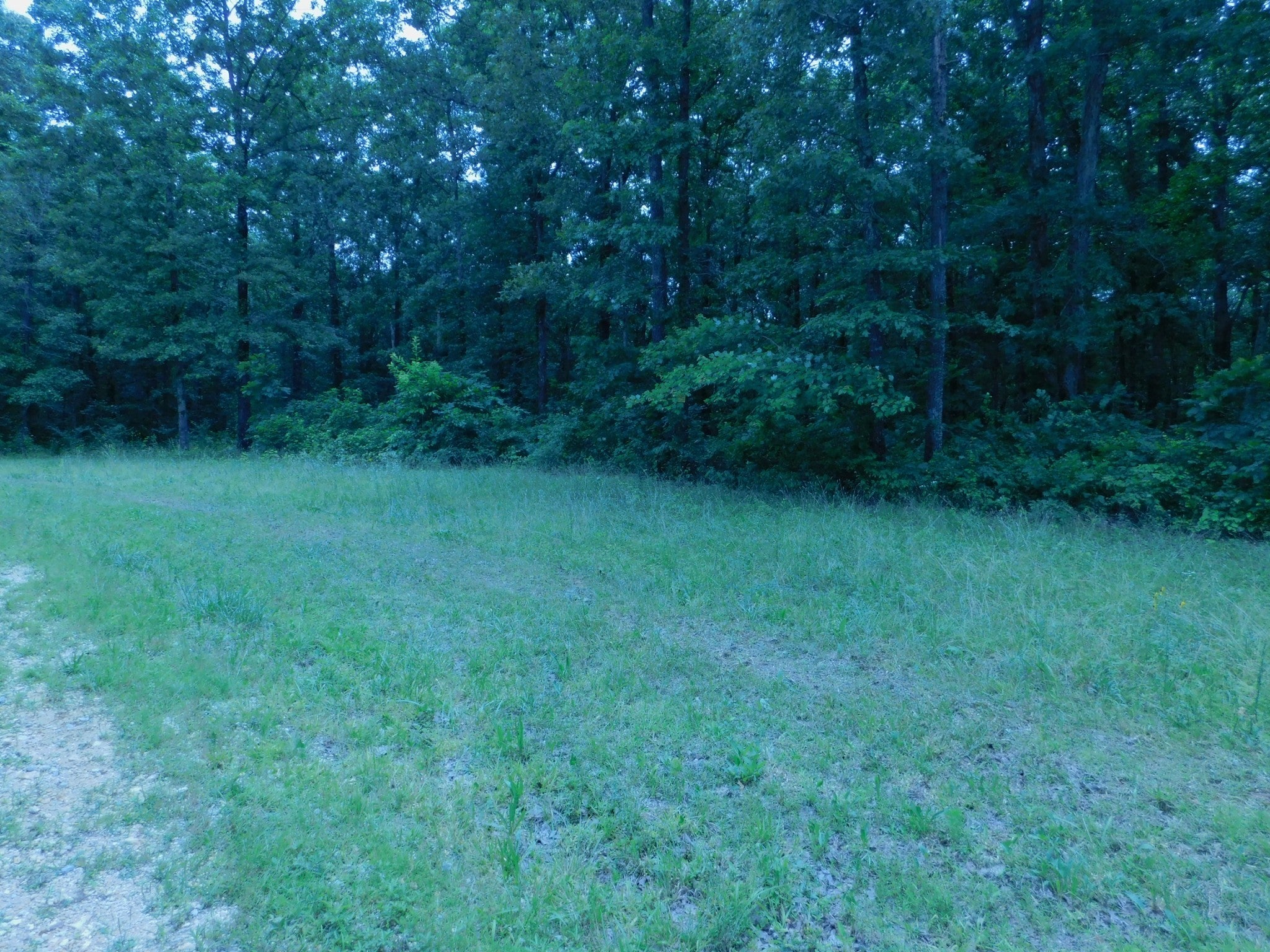 Photo of Listing #2663837