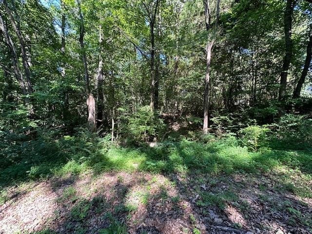 Photo of Listing #2666481
