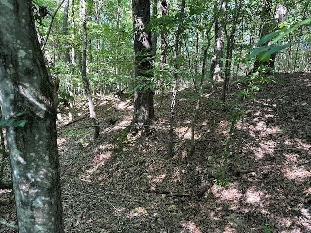 Photo of Listing #2666501
