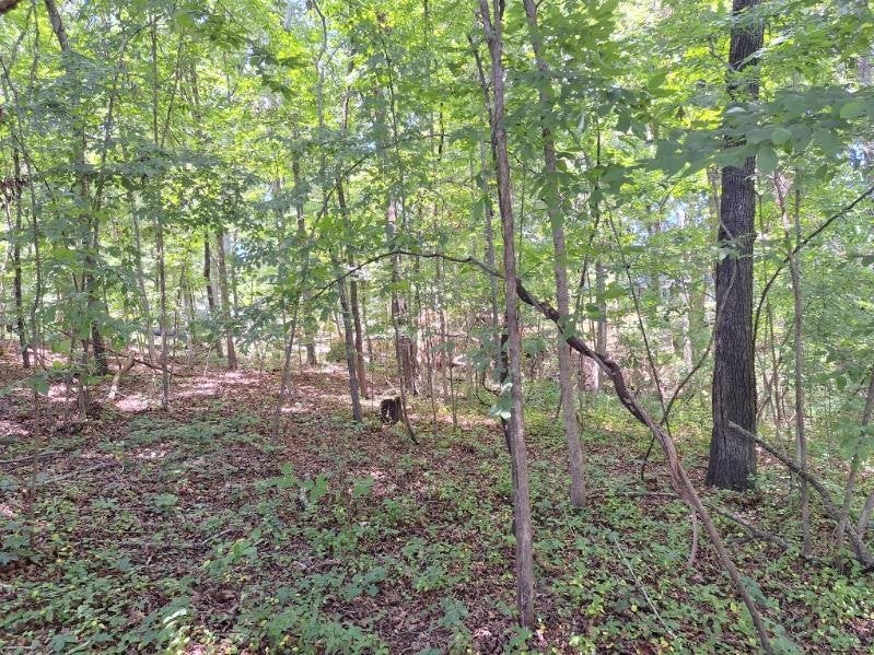 Photo of Listing #2671614
