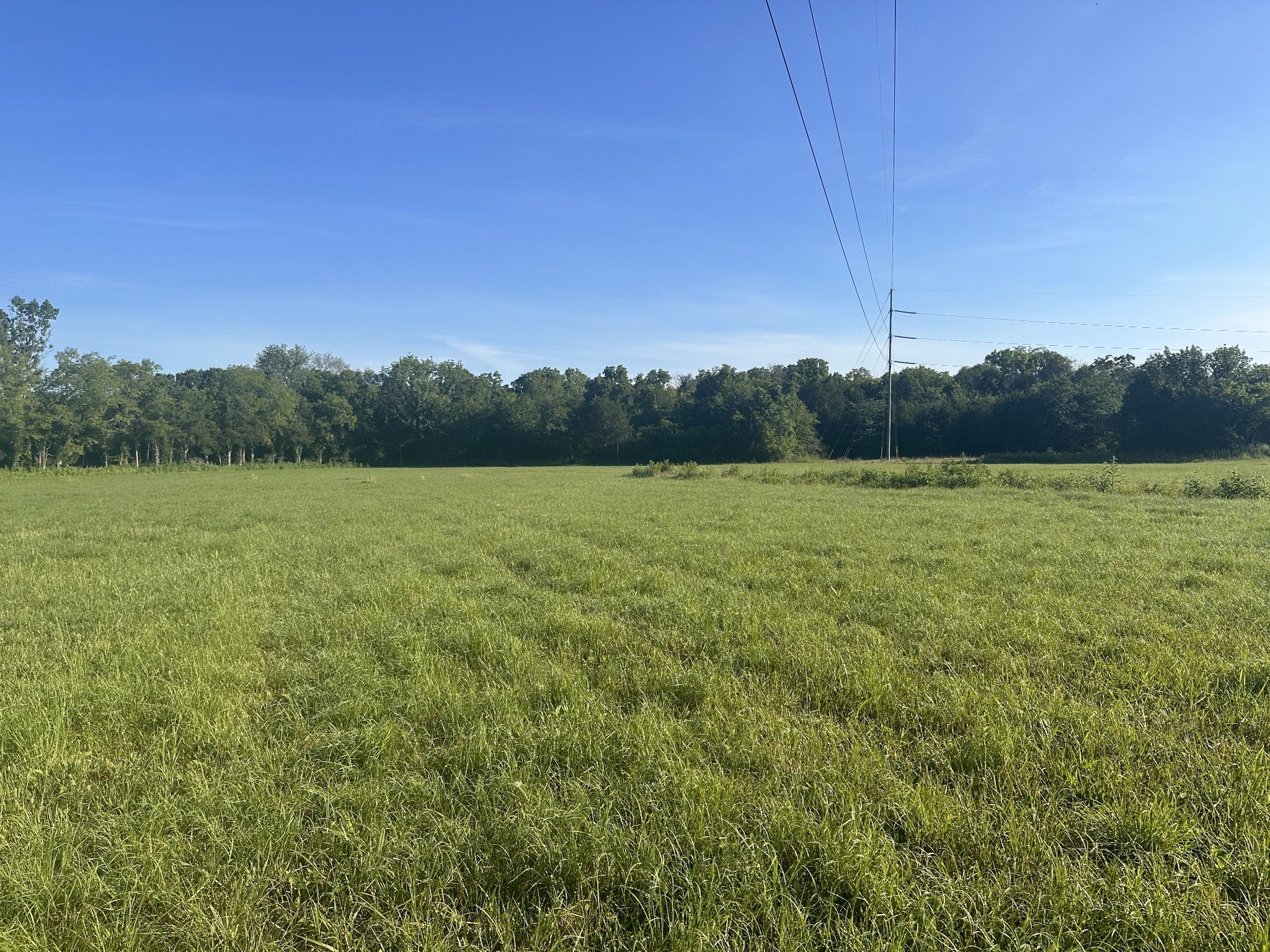 Photo of Listing #2674208
