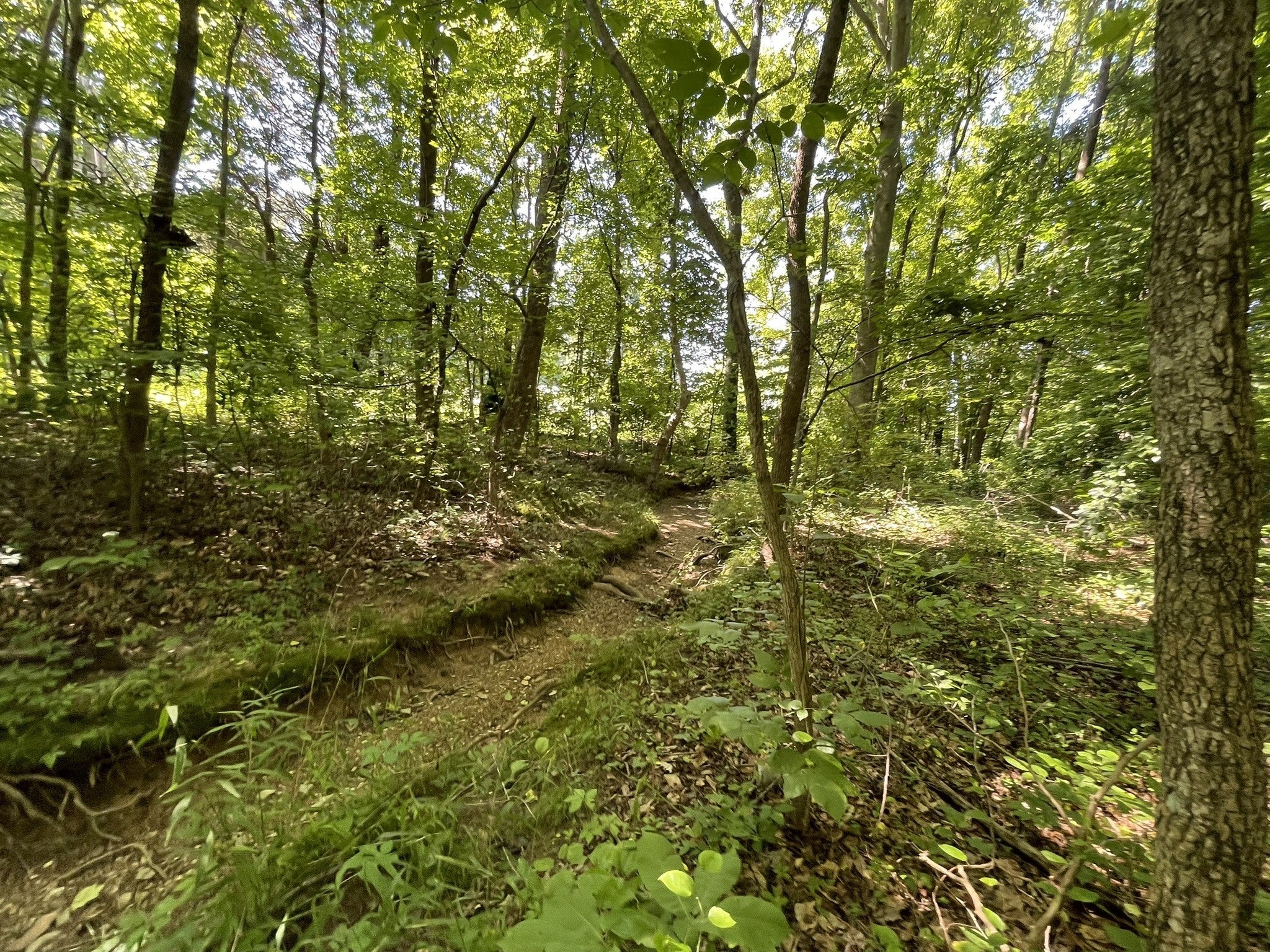 0 Old Clarksville Pike Pleasant View TN MLS 2677102