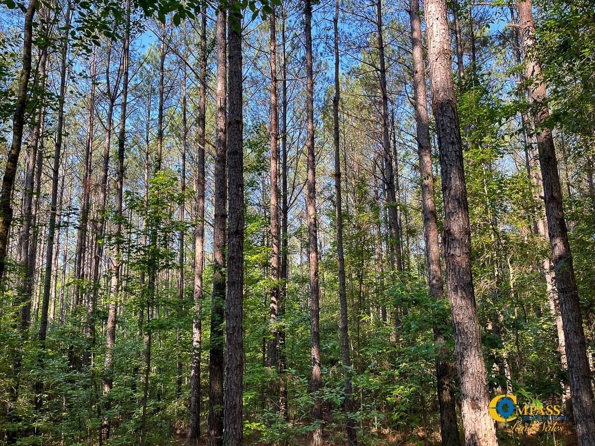 Photo of Listing #2677366