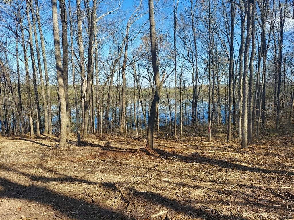 Photo of Listing #2677968