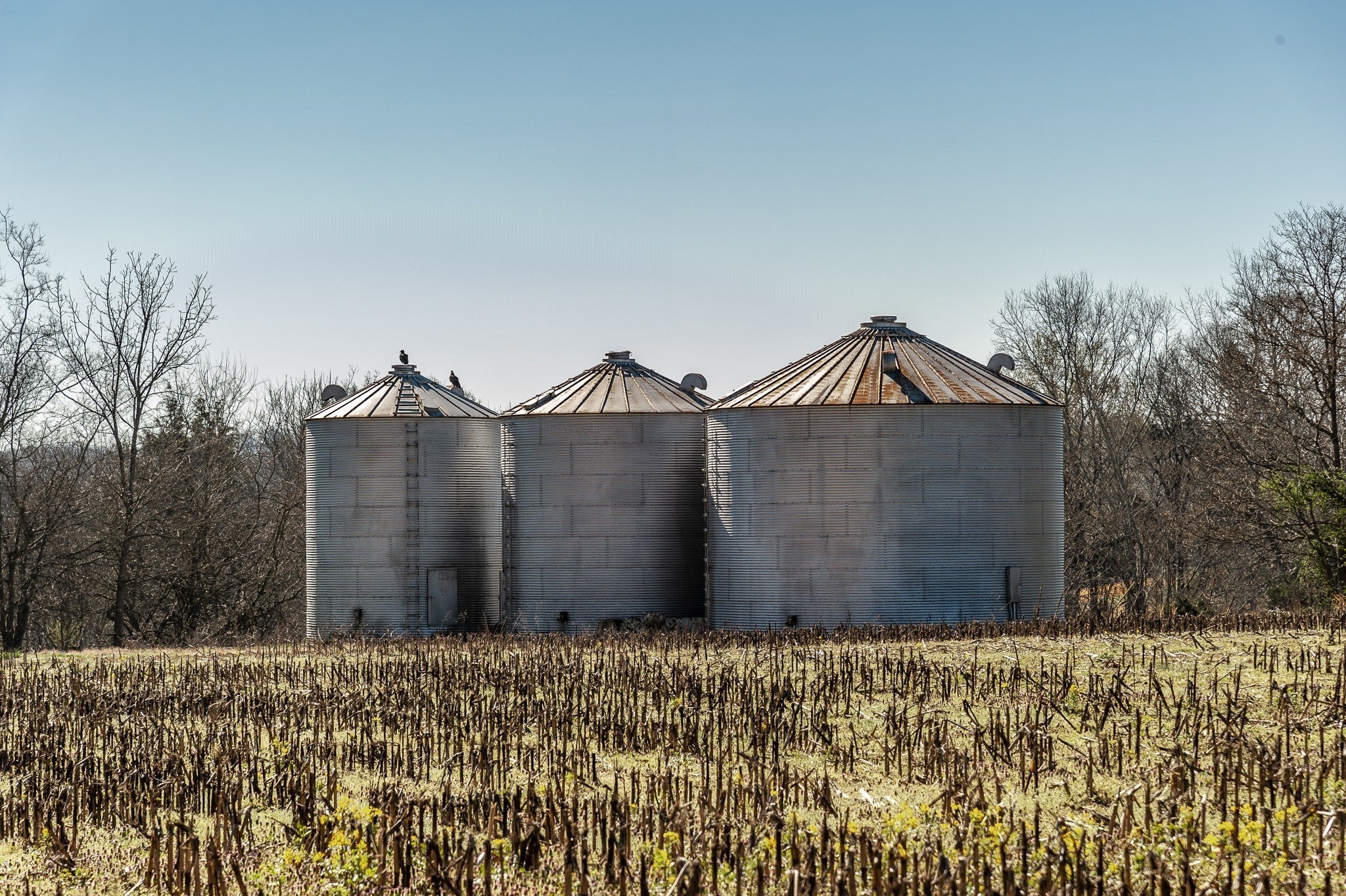 Photo of Listing #2686433