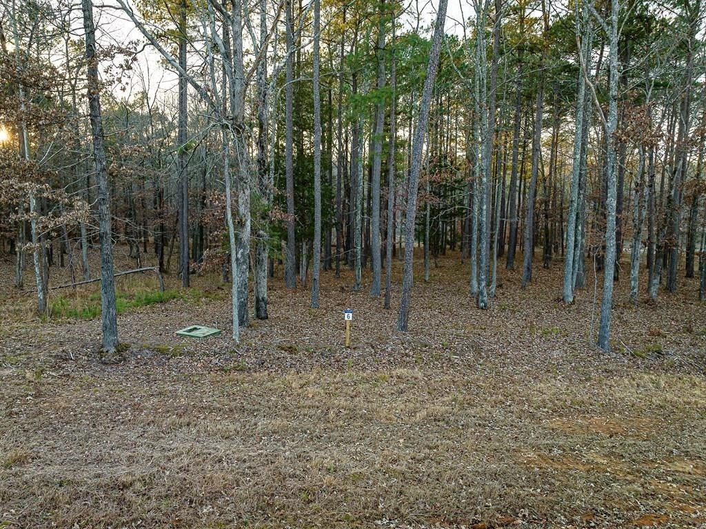 Photo of Listing #2689232