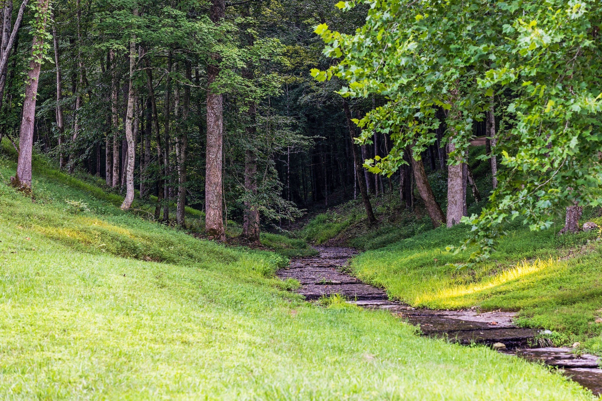 Photo of Listing #2693270